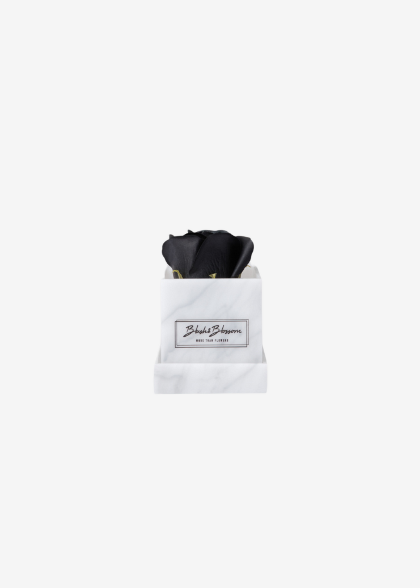 Coffret HOWLITE