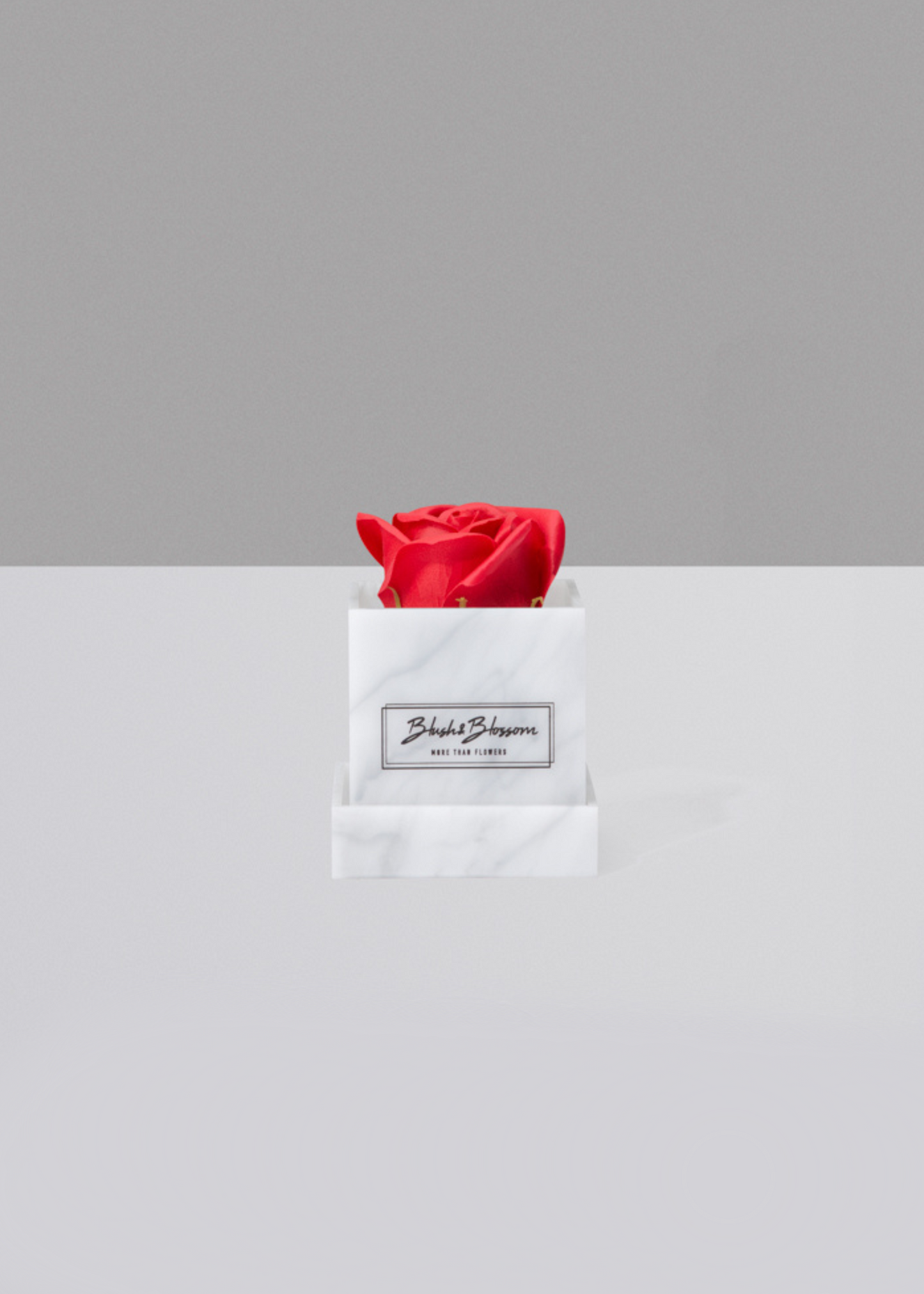 Coffret HOWLITE