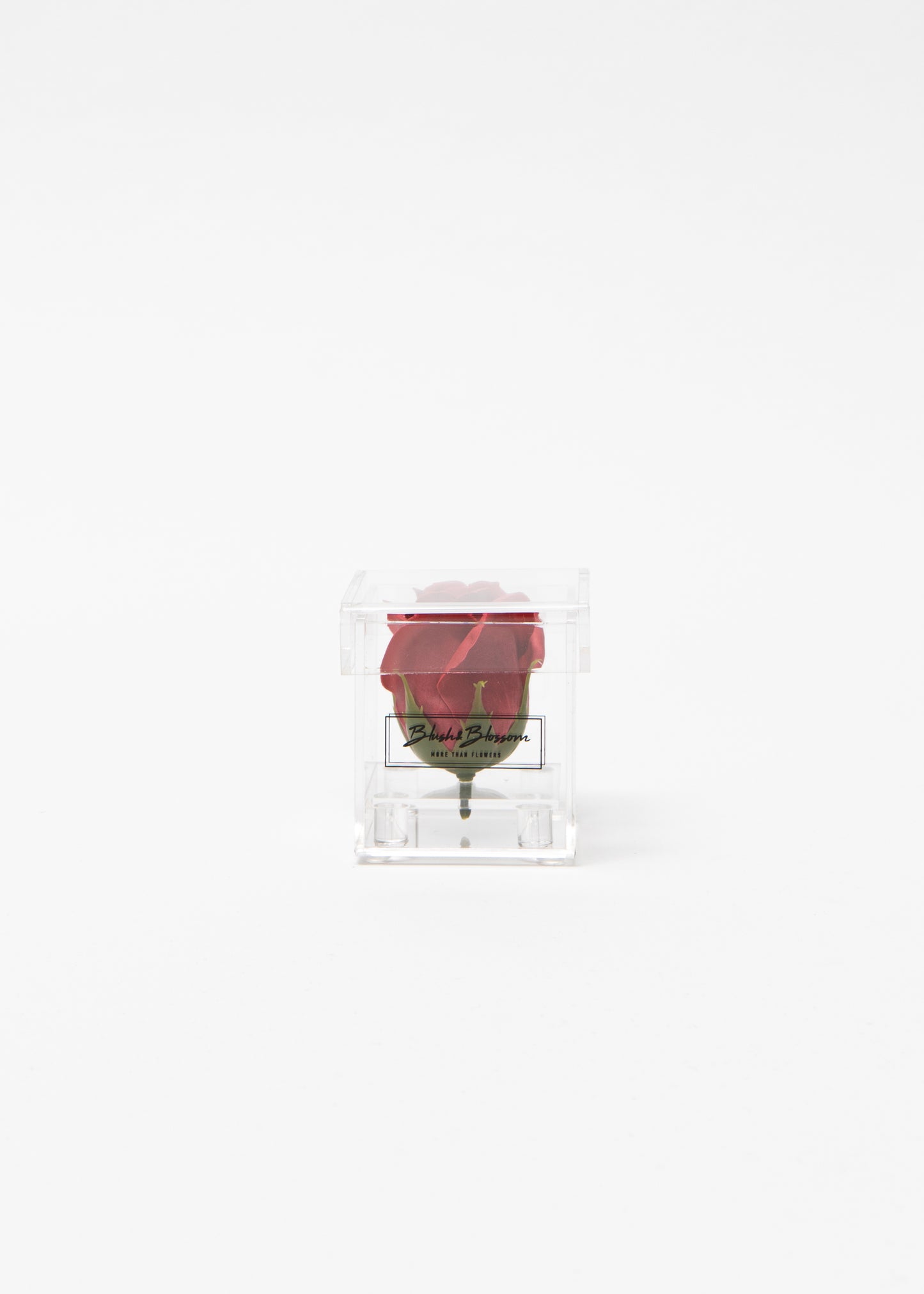 Coffret CLEAR