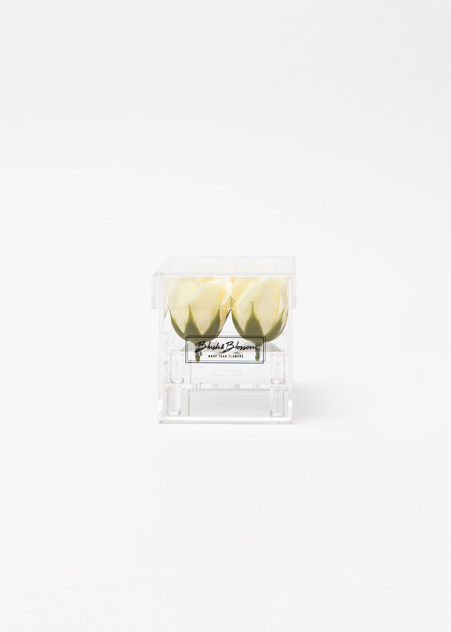 Coffret CLEAR