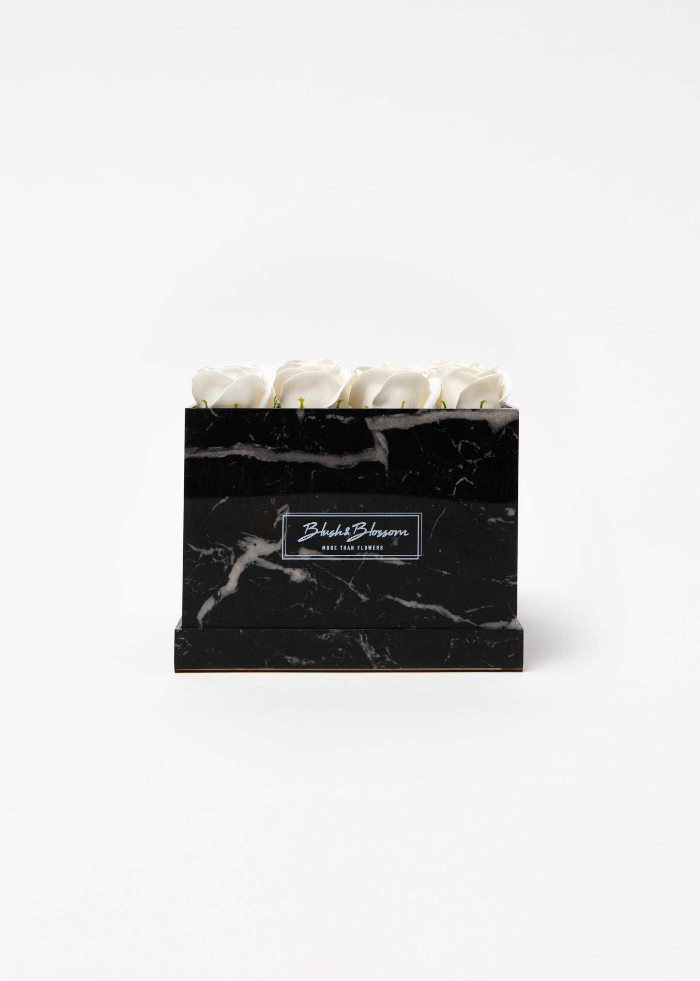 Coffret HOWLITE BLACK