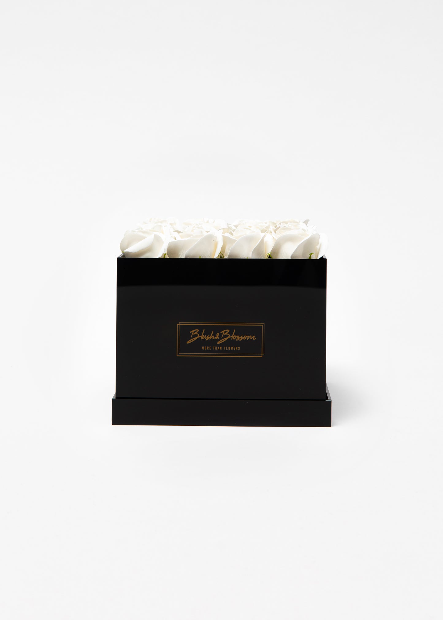 Coffret ONYX