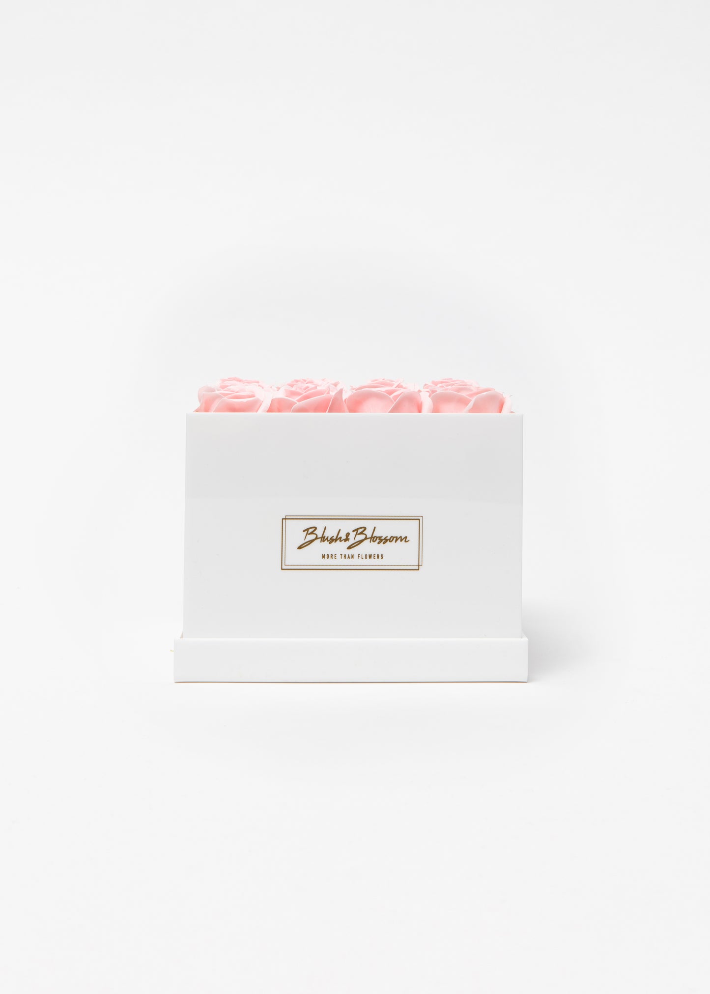 Coffret OPAL