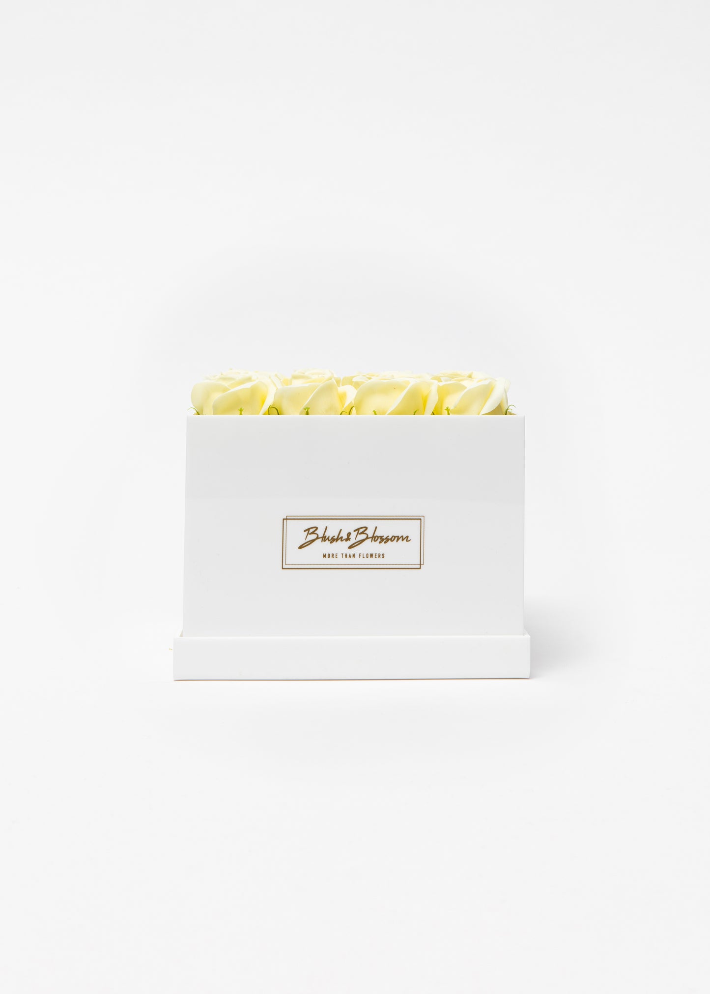 Coffret OPAL