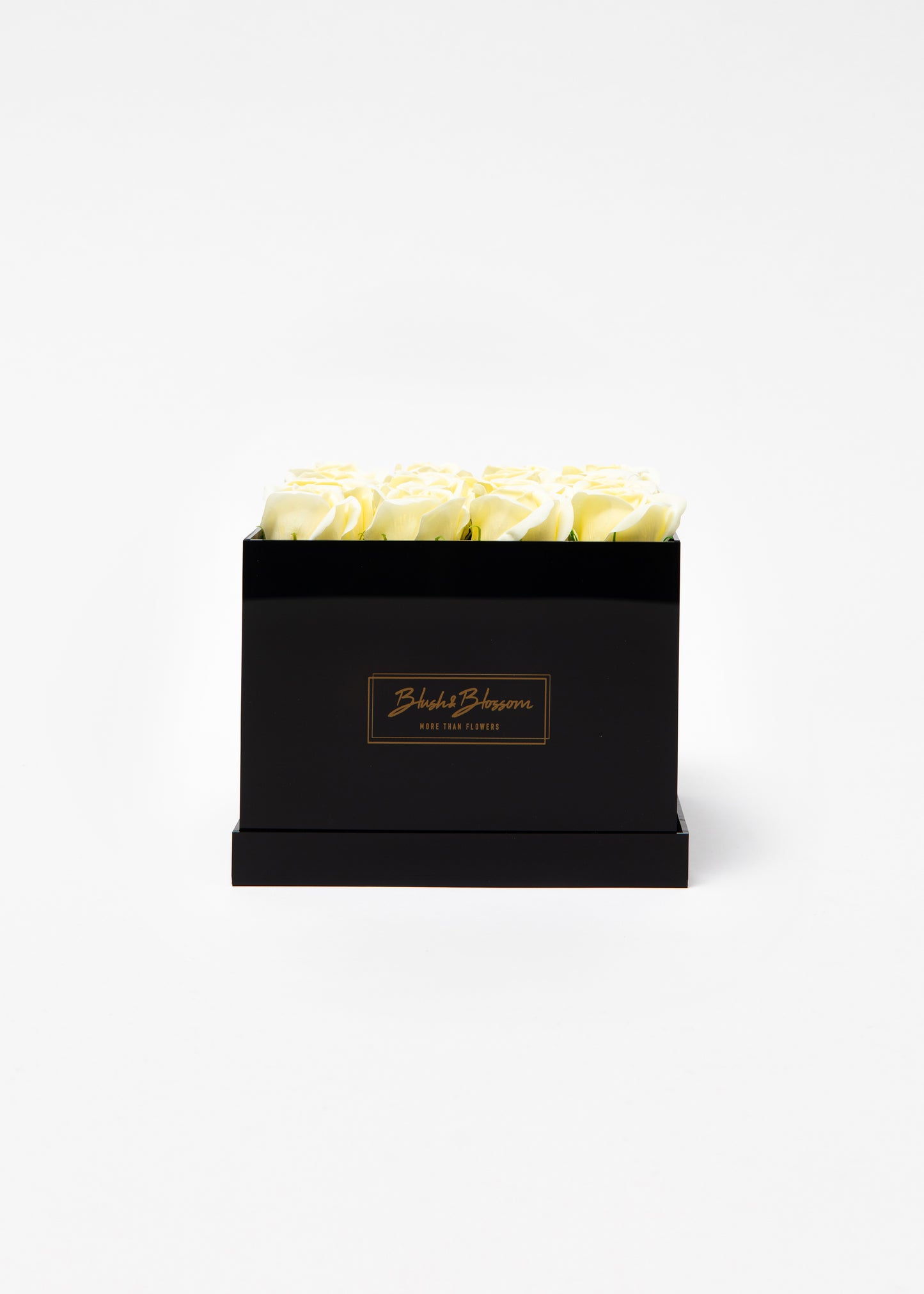 Coffret ONYX