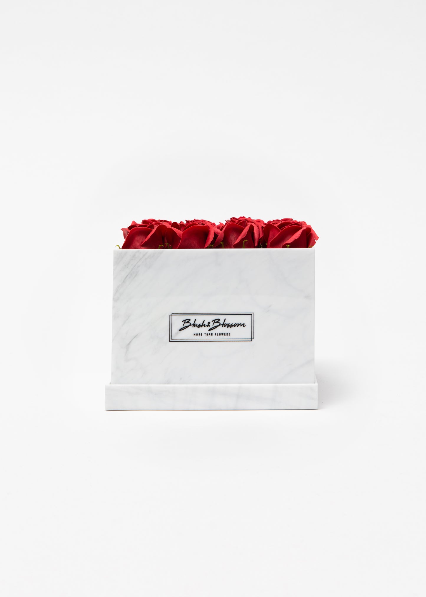 Coffret HOWLITE
