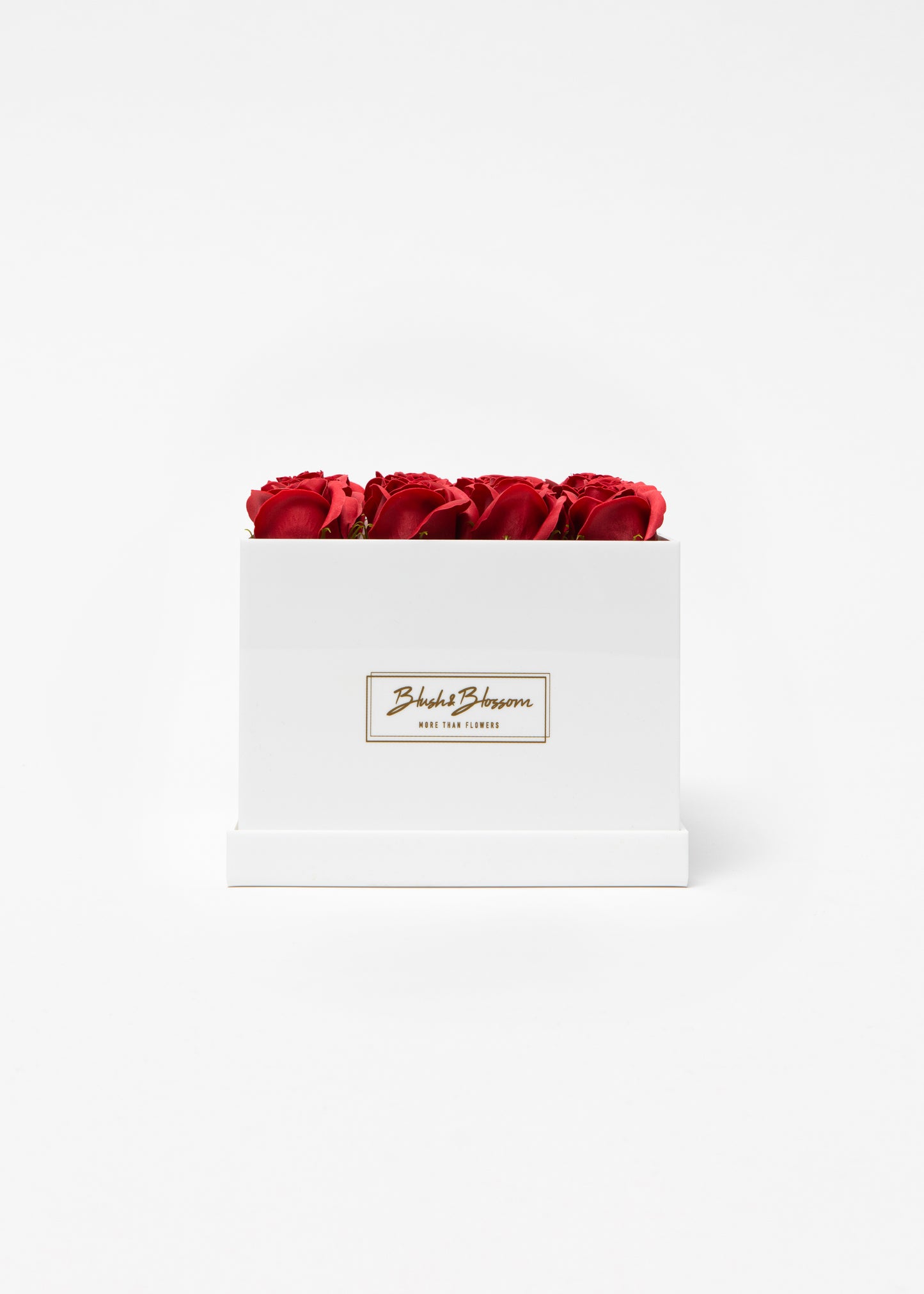 Coffret OPAL