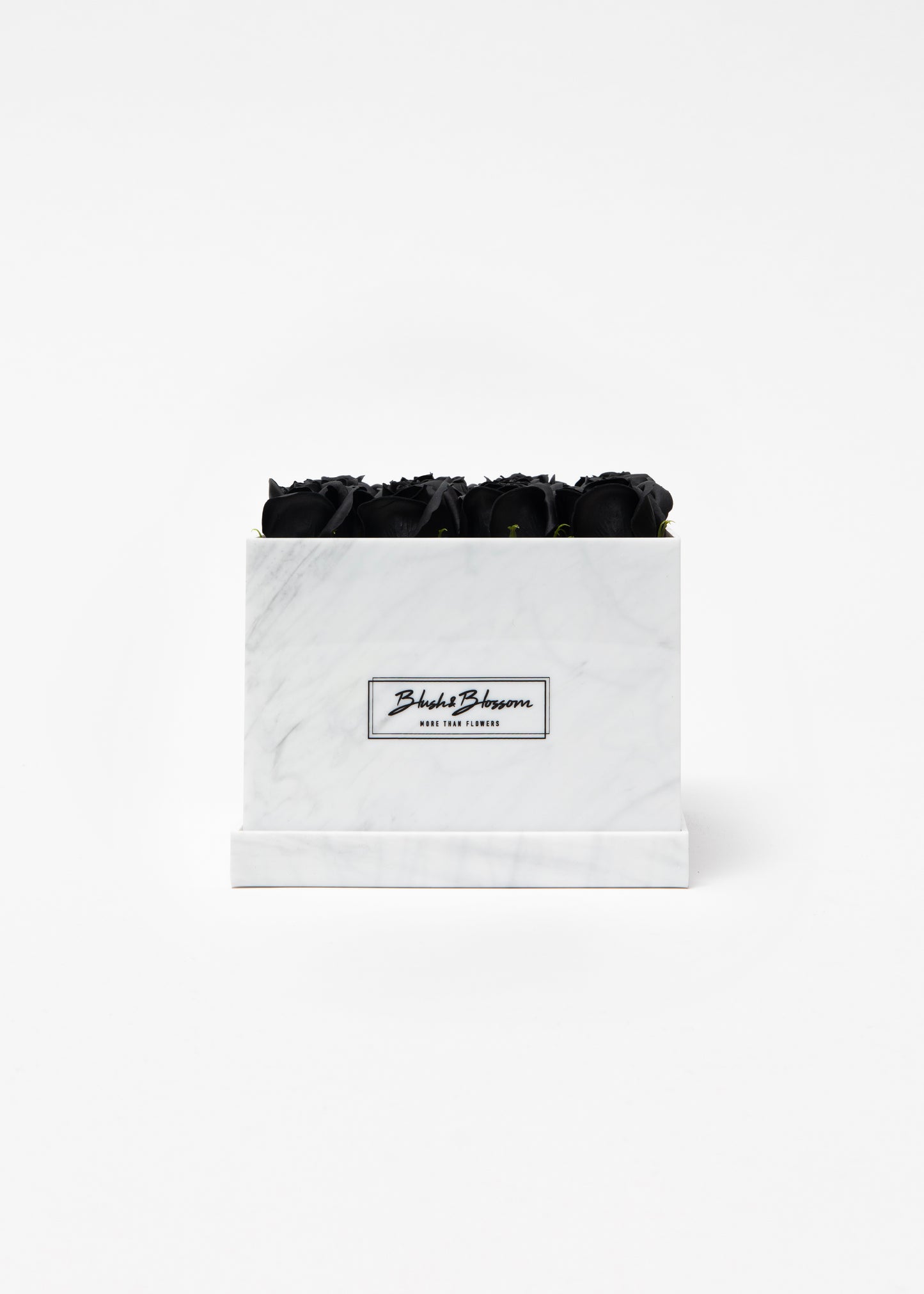 Coffret HOWLITE