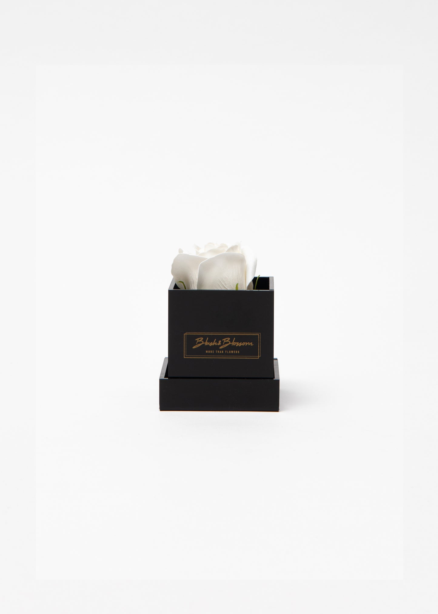 Coffret ONYX