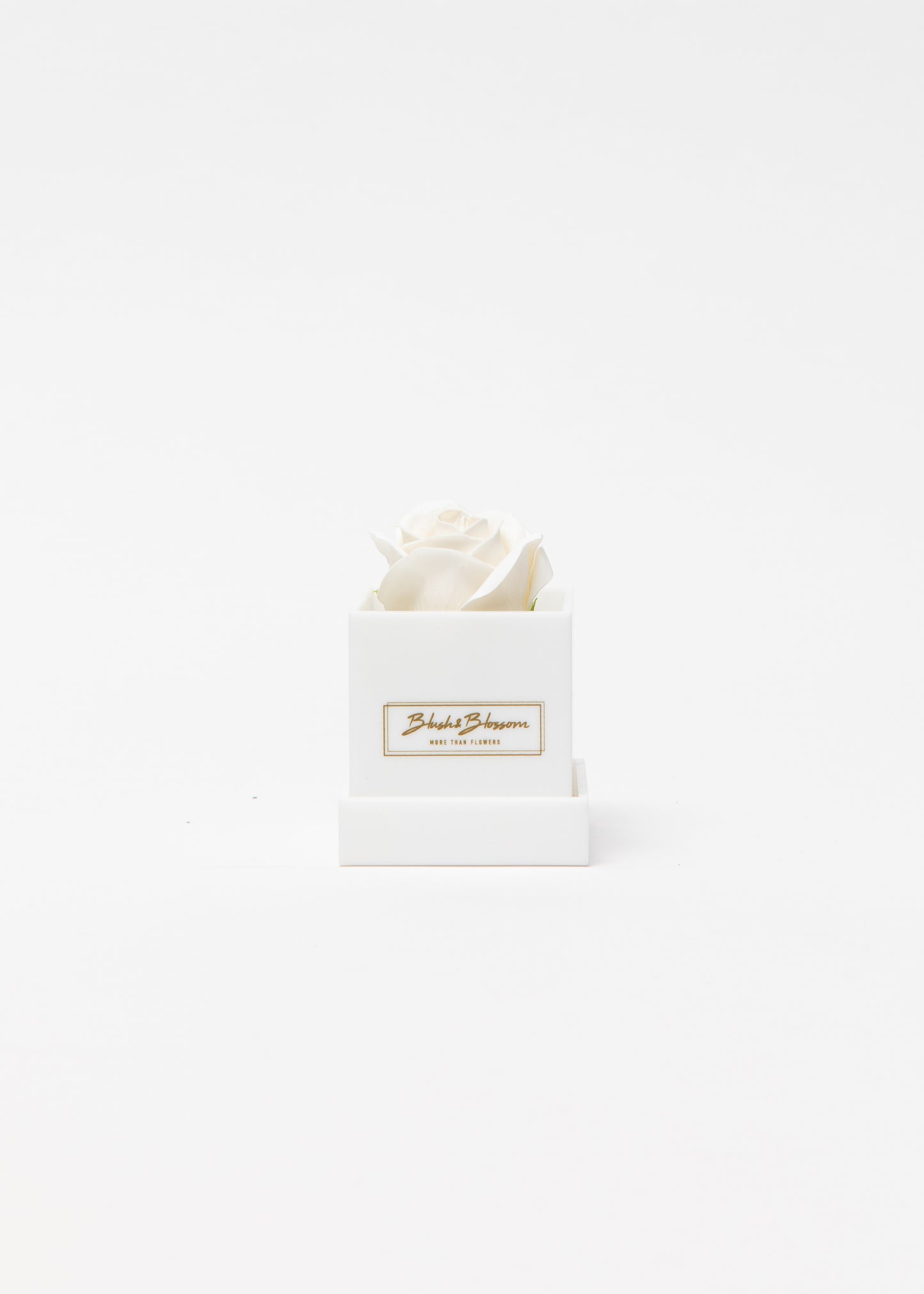 Coffret OPAL
