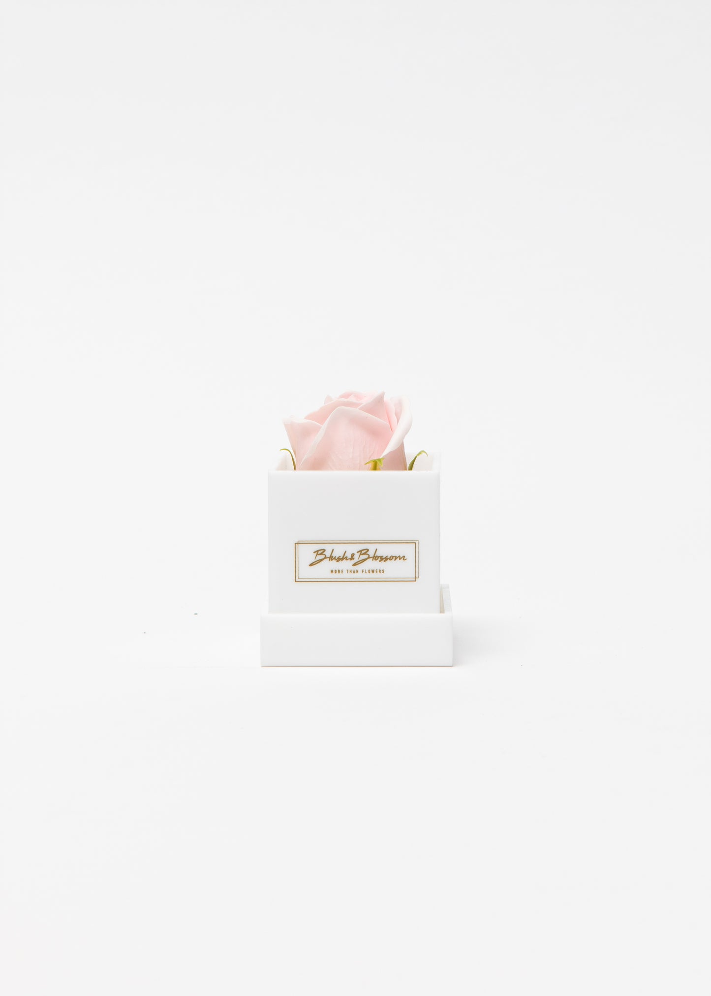 Coffret OPAL