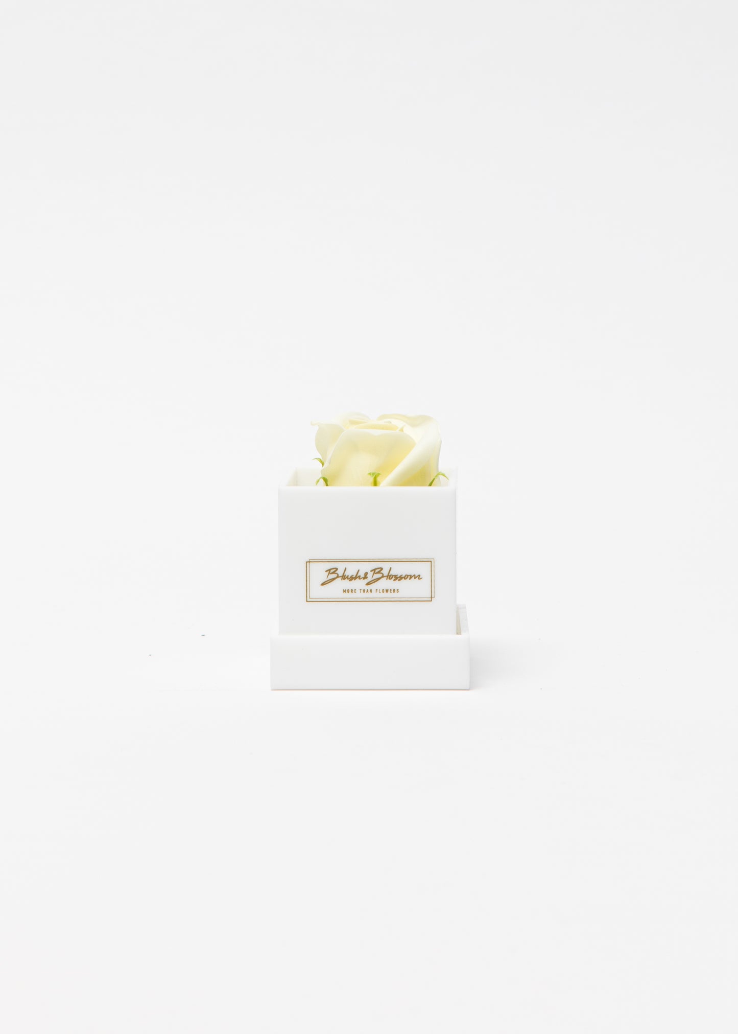 Coffret OPAL