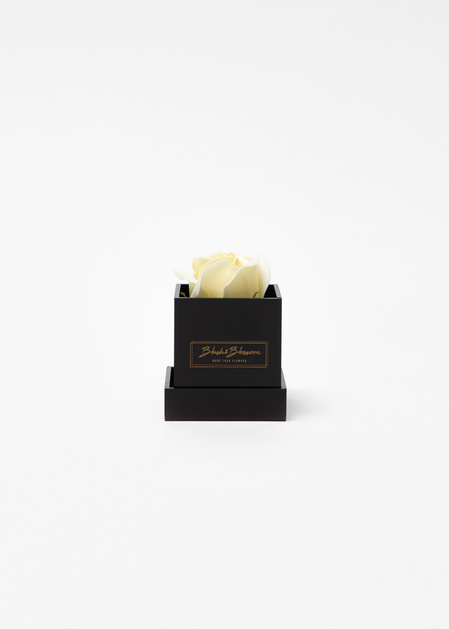 Coffret ONYX