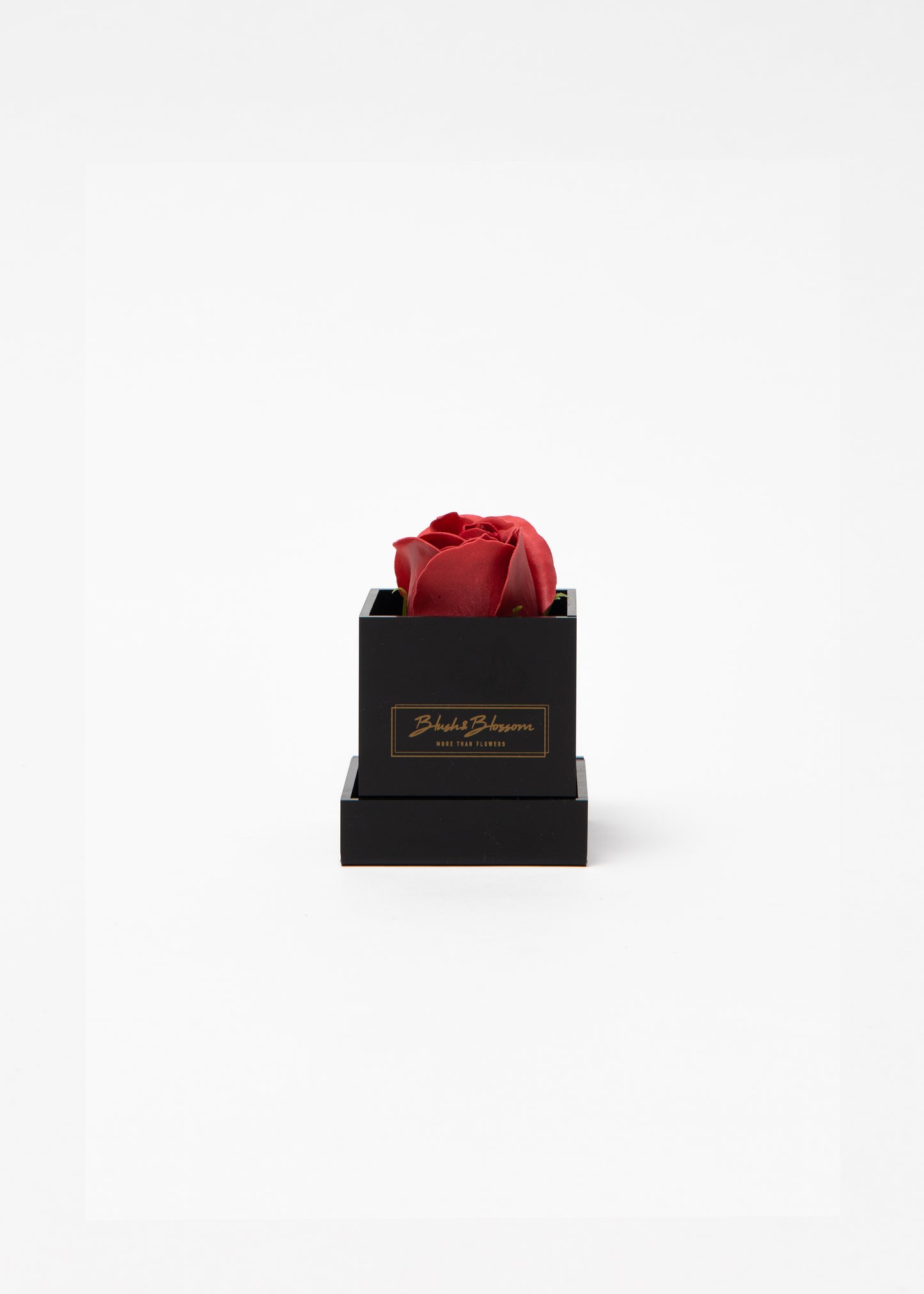 Coffret ONYX
