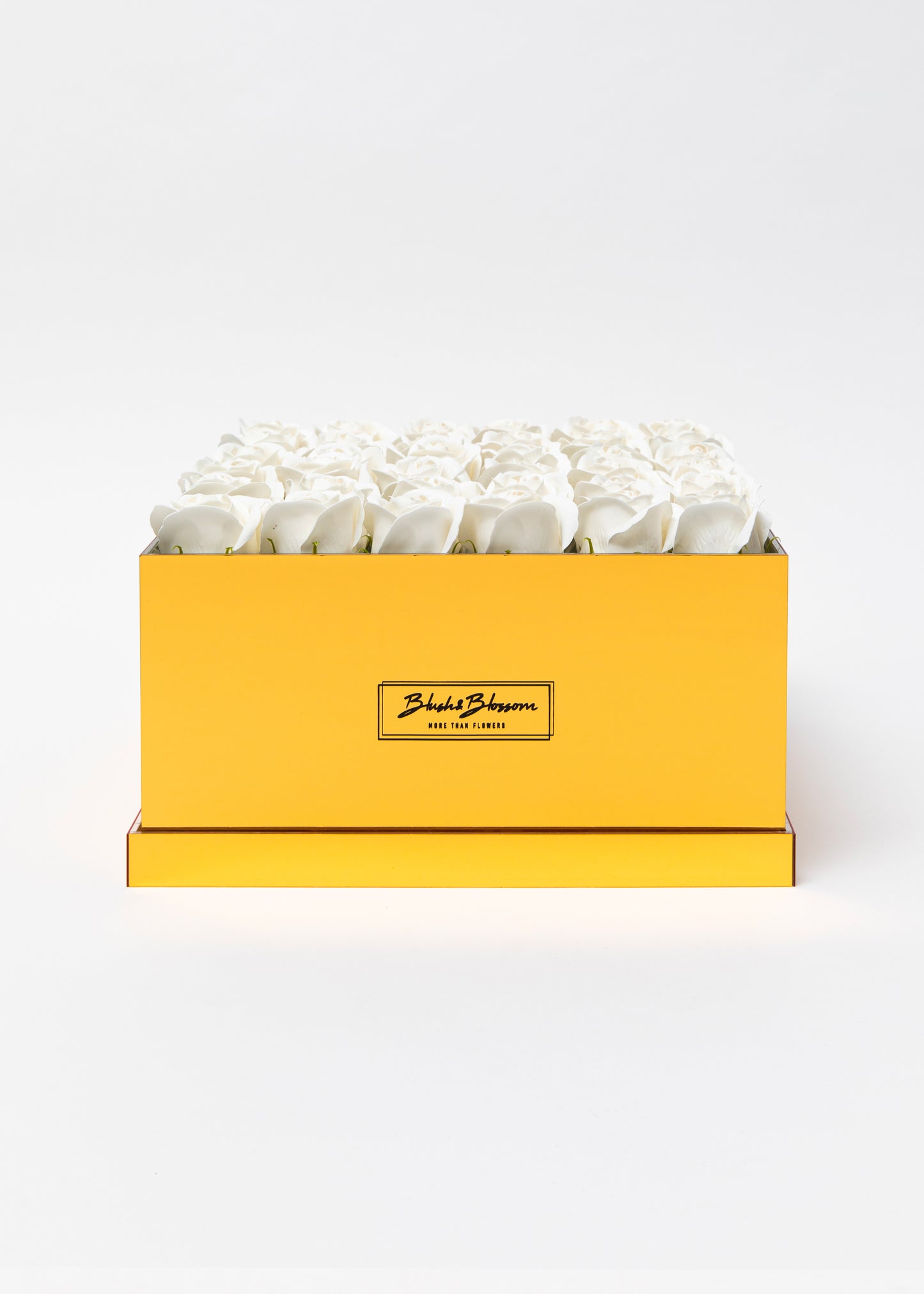 Coffret GOLDEN