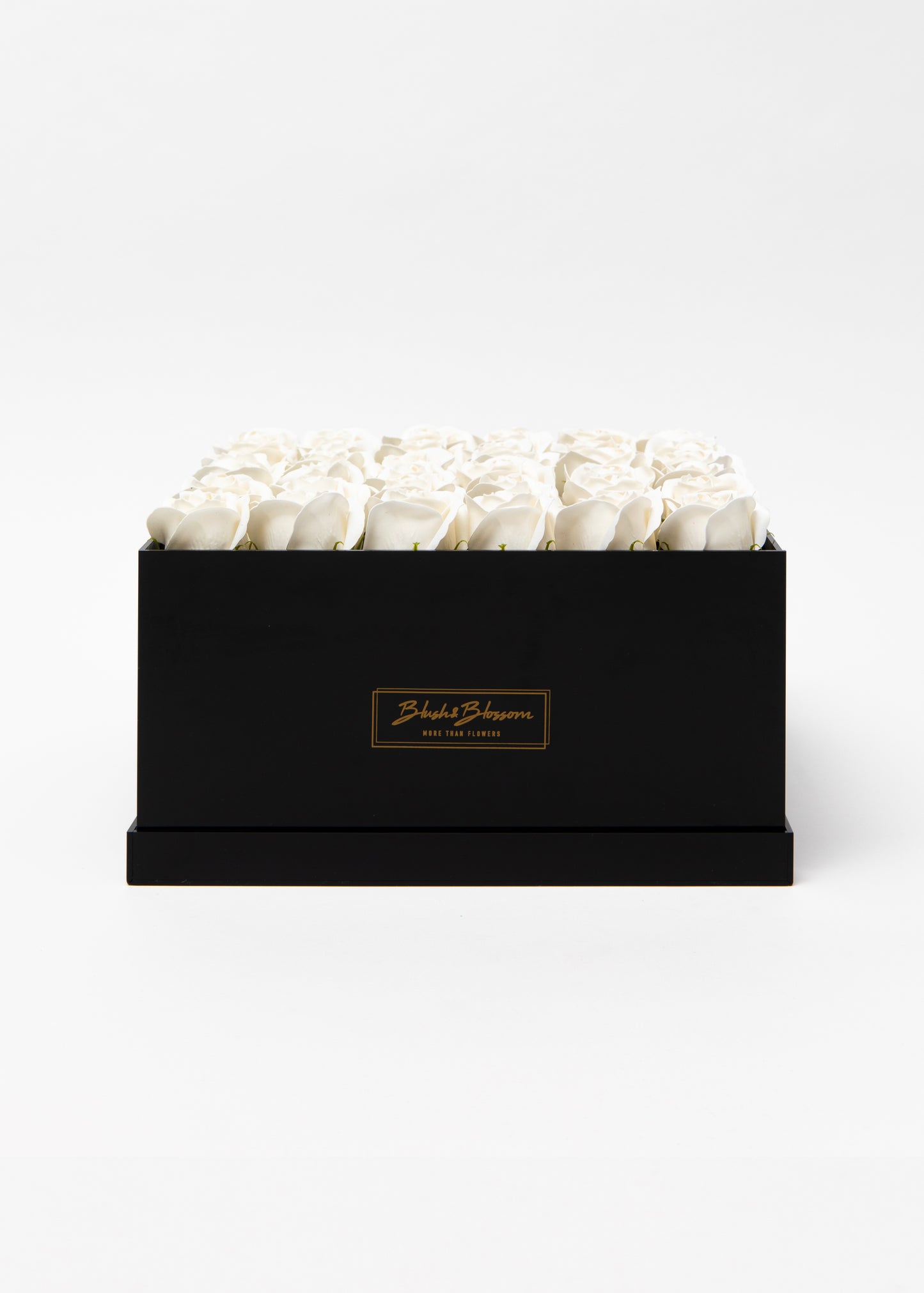 Coffret ONYX