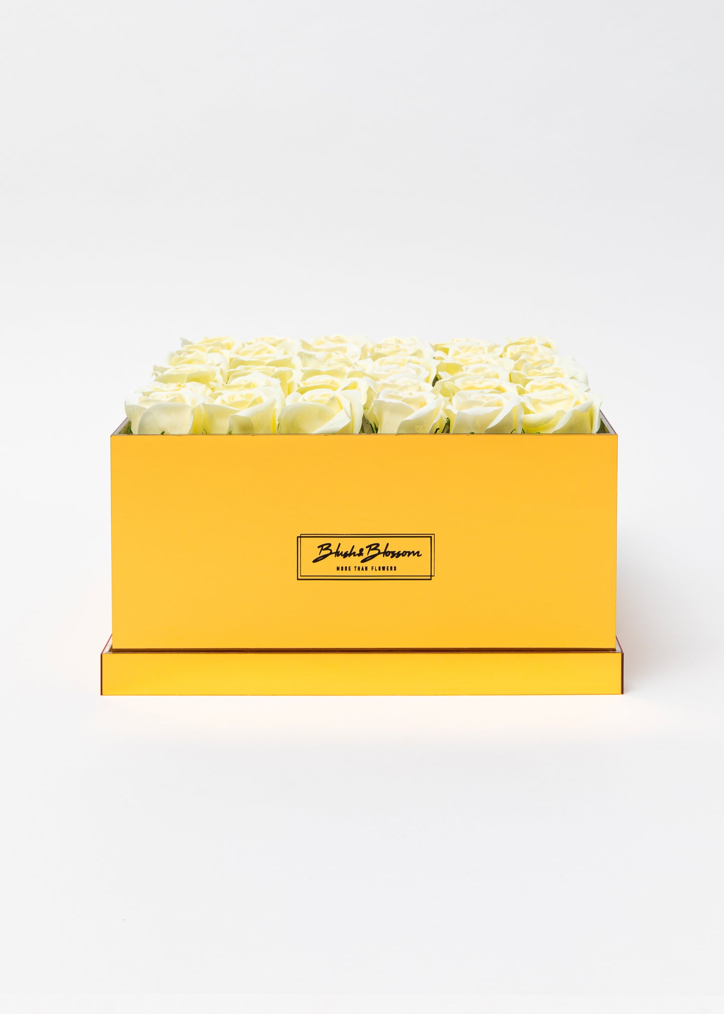 Coffret GOLDEN