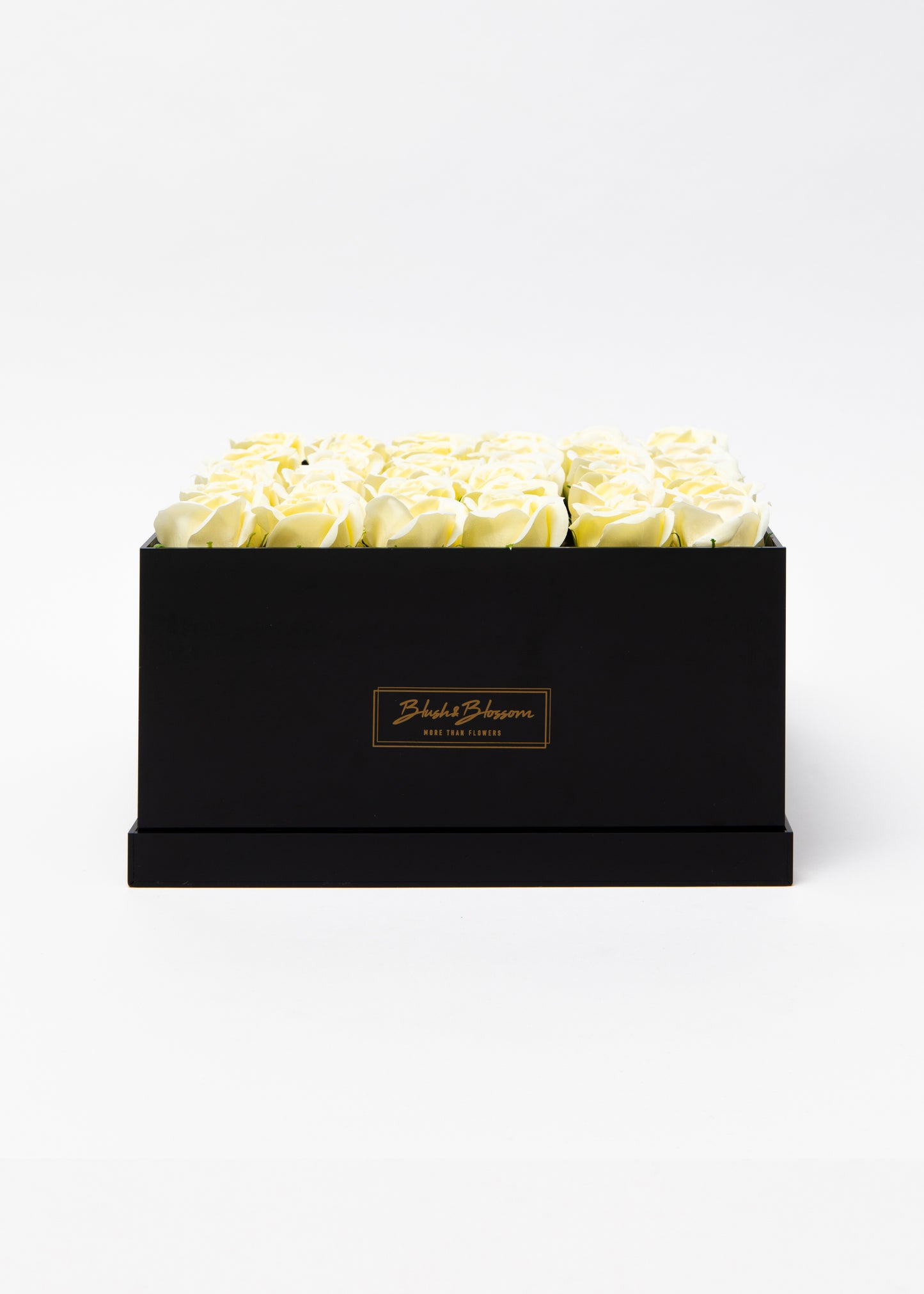 Coffret ONYX
