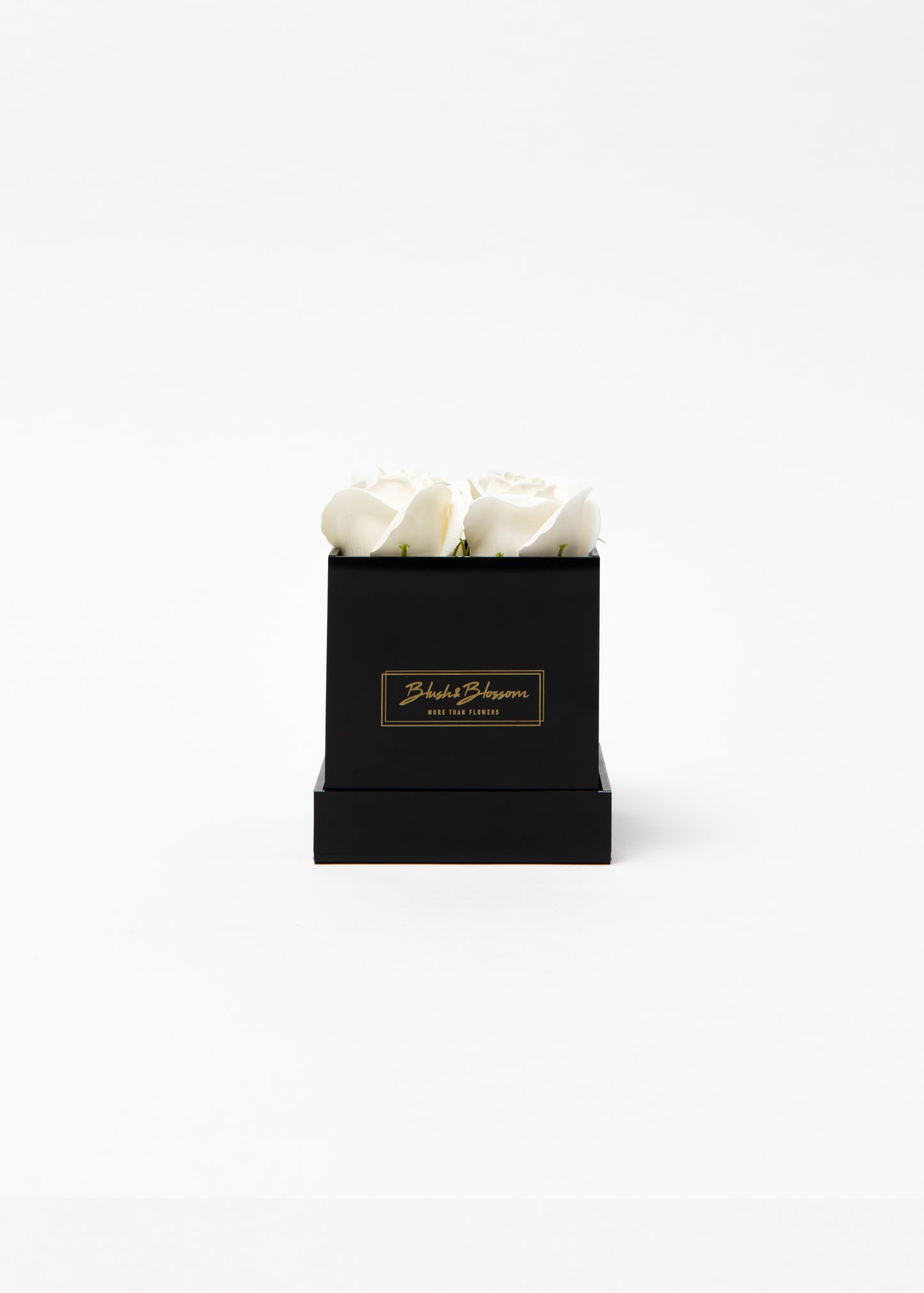 Coffret ONYX