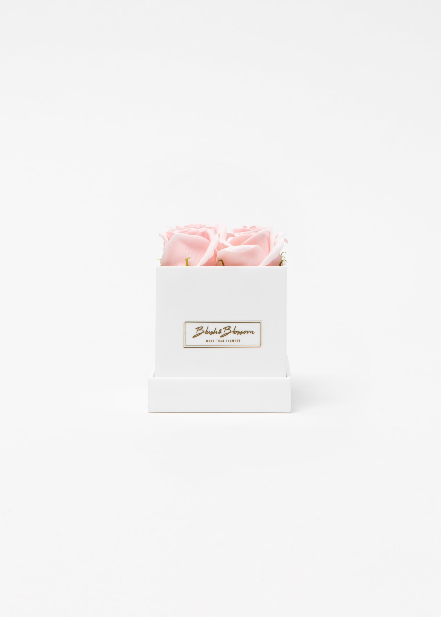 Coffret OPAL