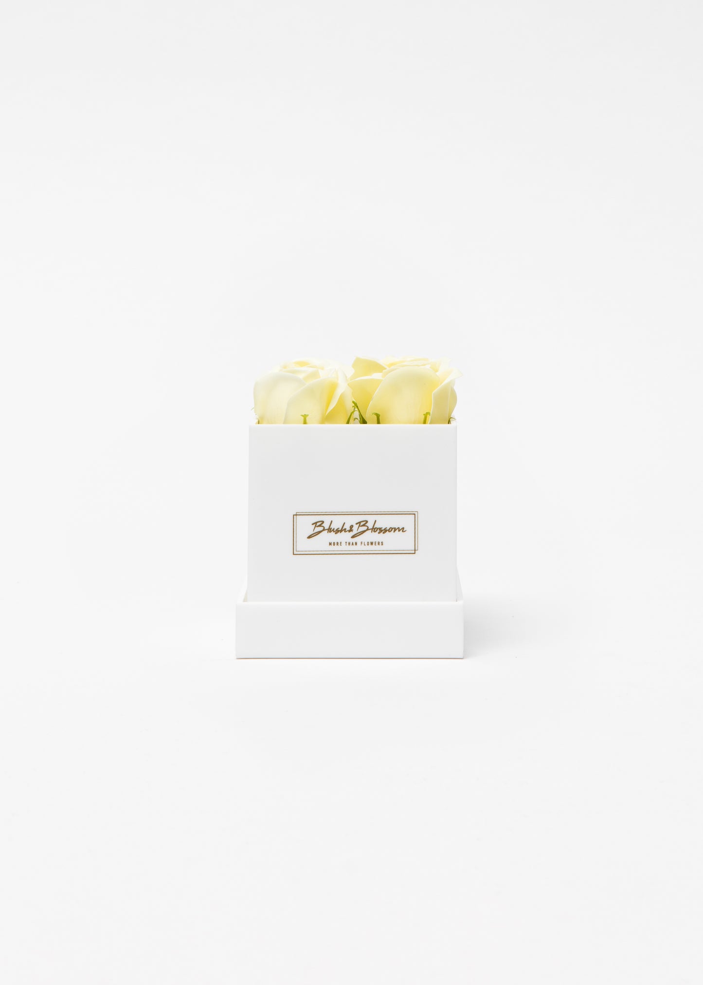 Coffret OPAL