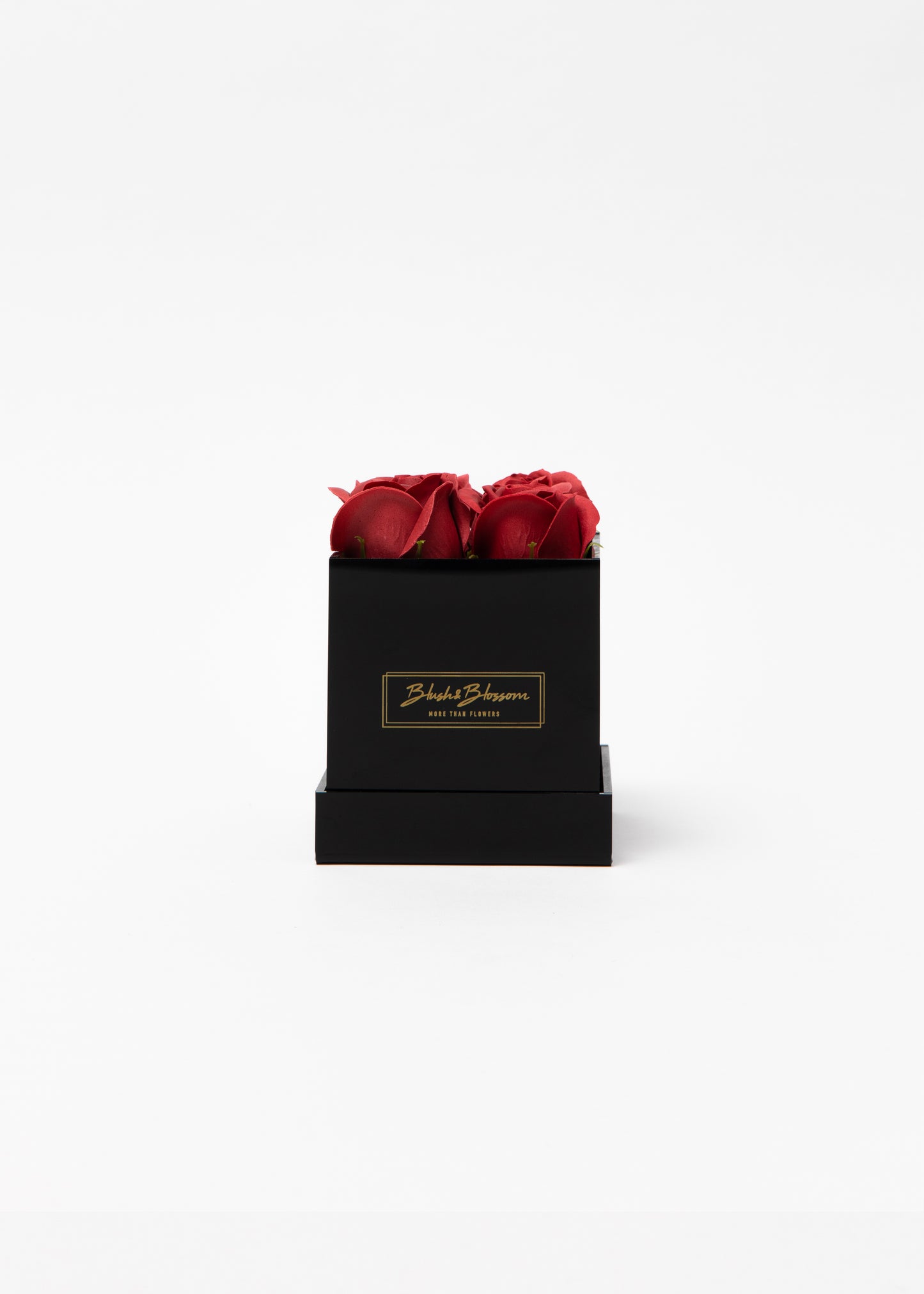 Coffret ONYX