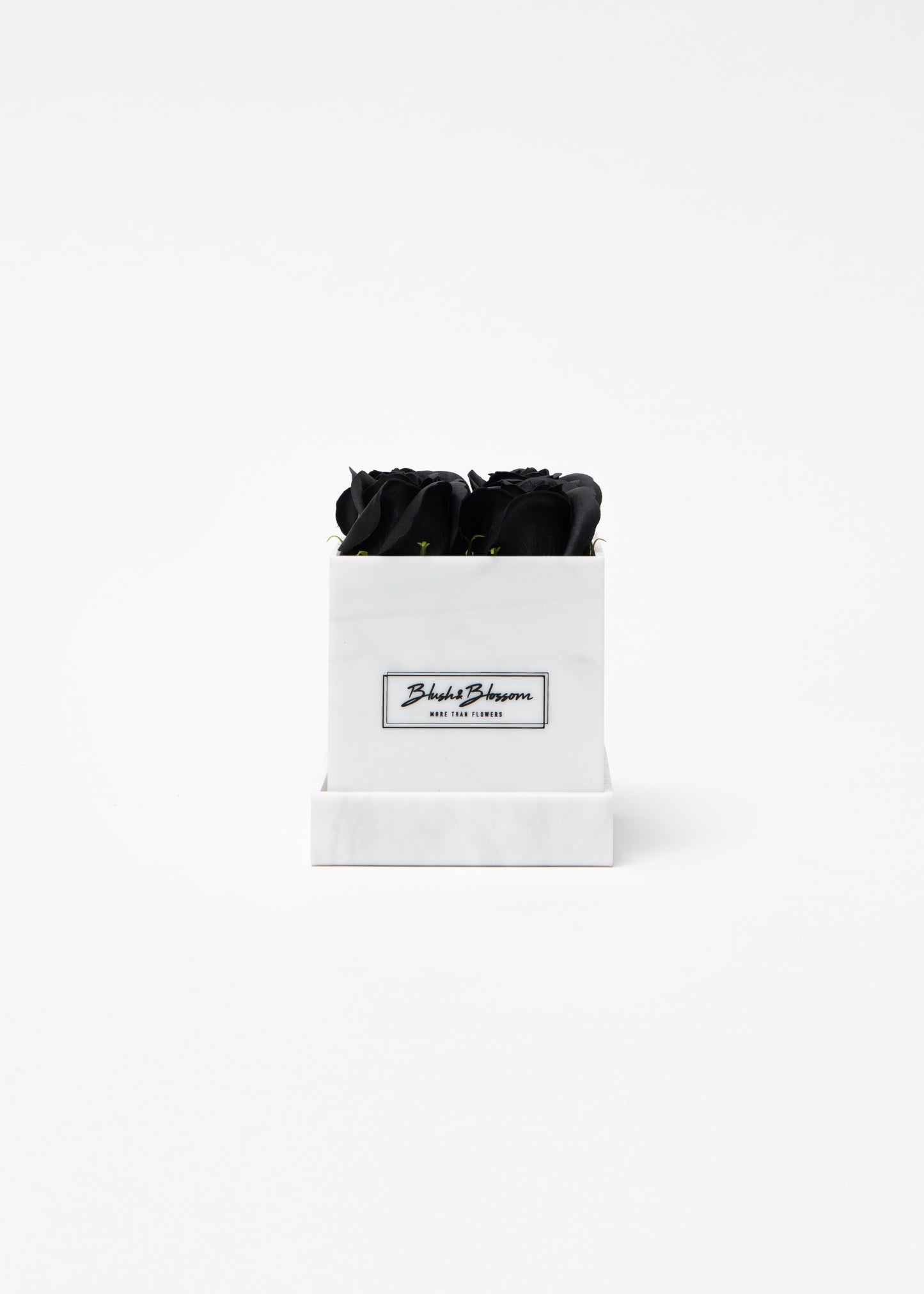 Coffret HOWLITE