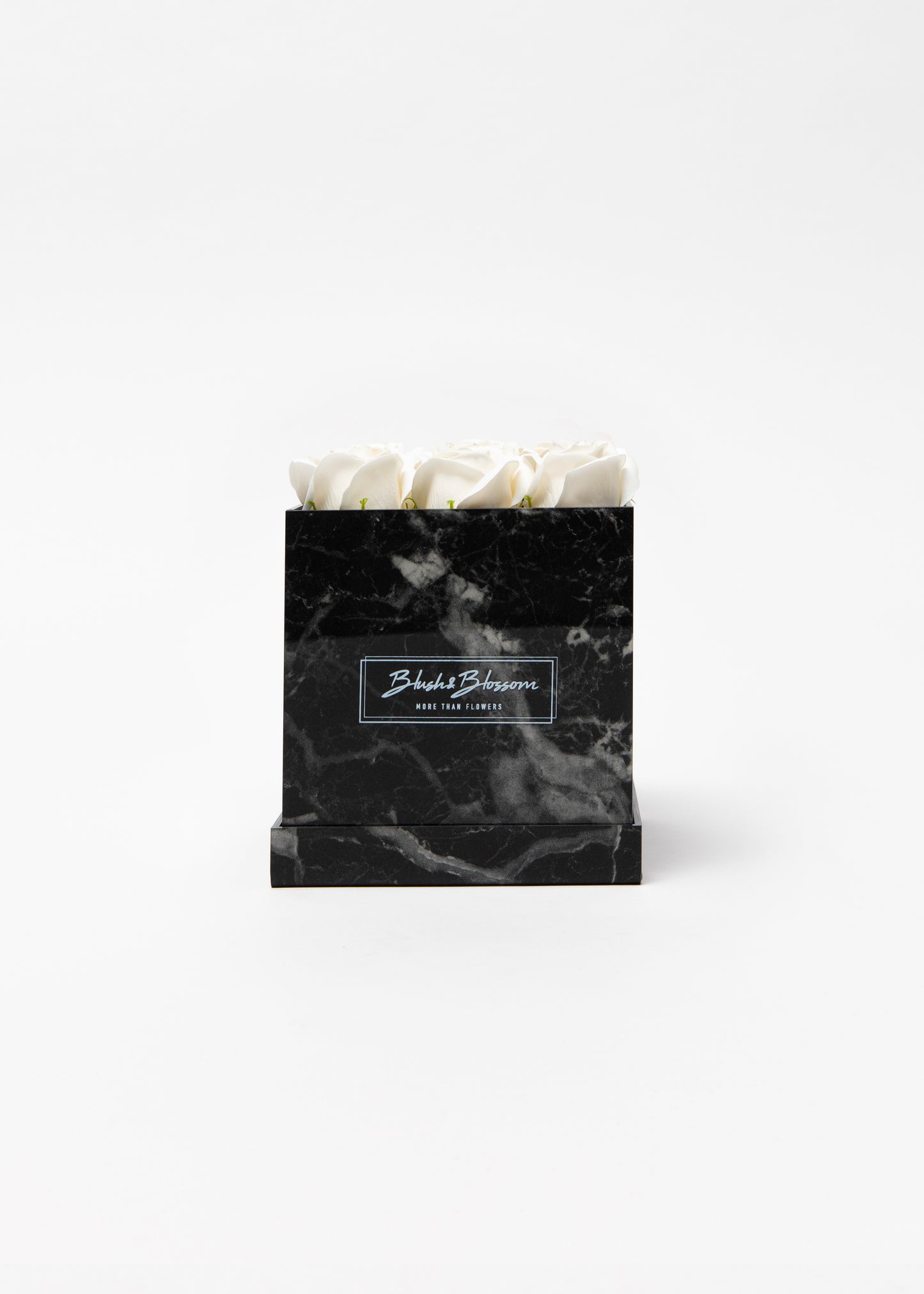 Coffret HOWLITE BLACK