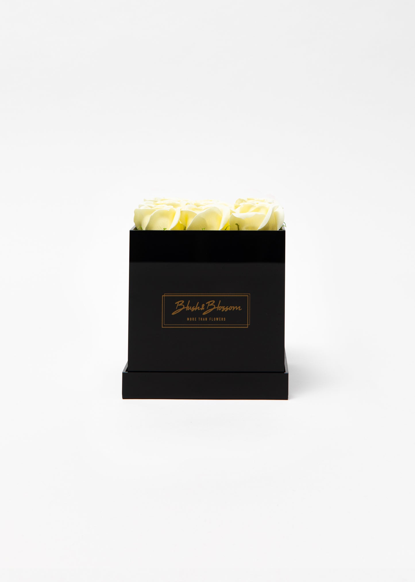 Coffret ONYX