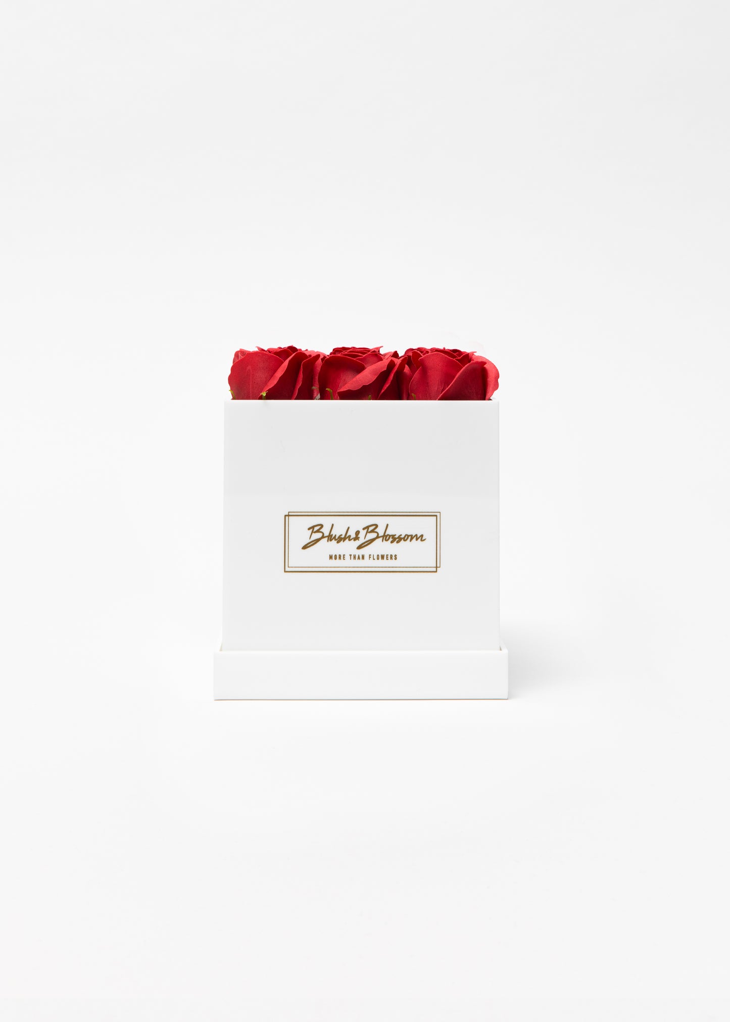 Coffret OPAL