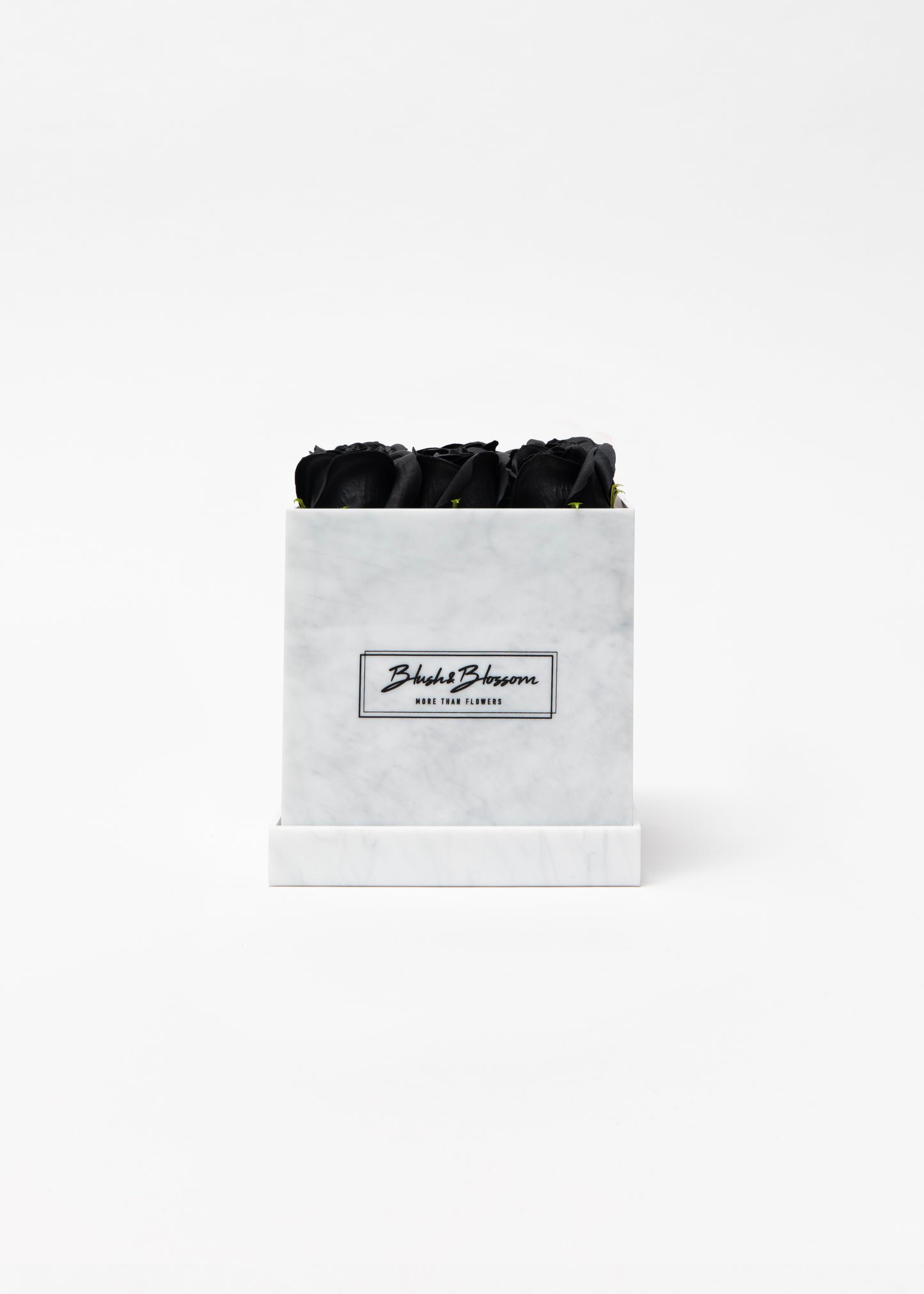 Coffret HOWLITE