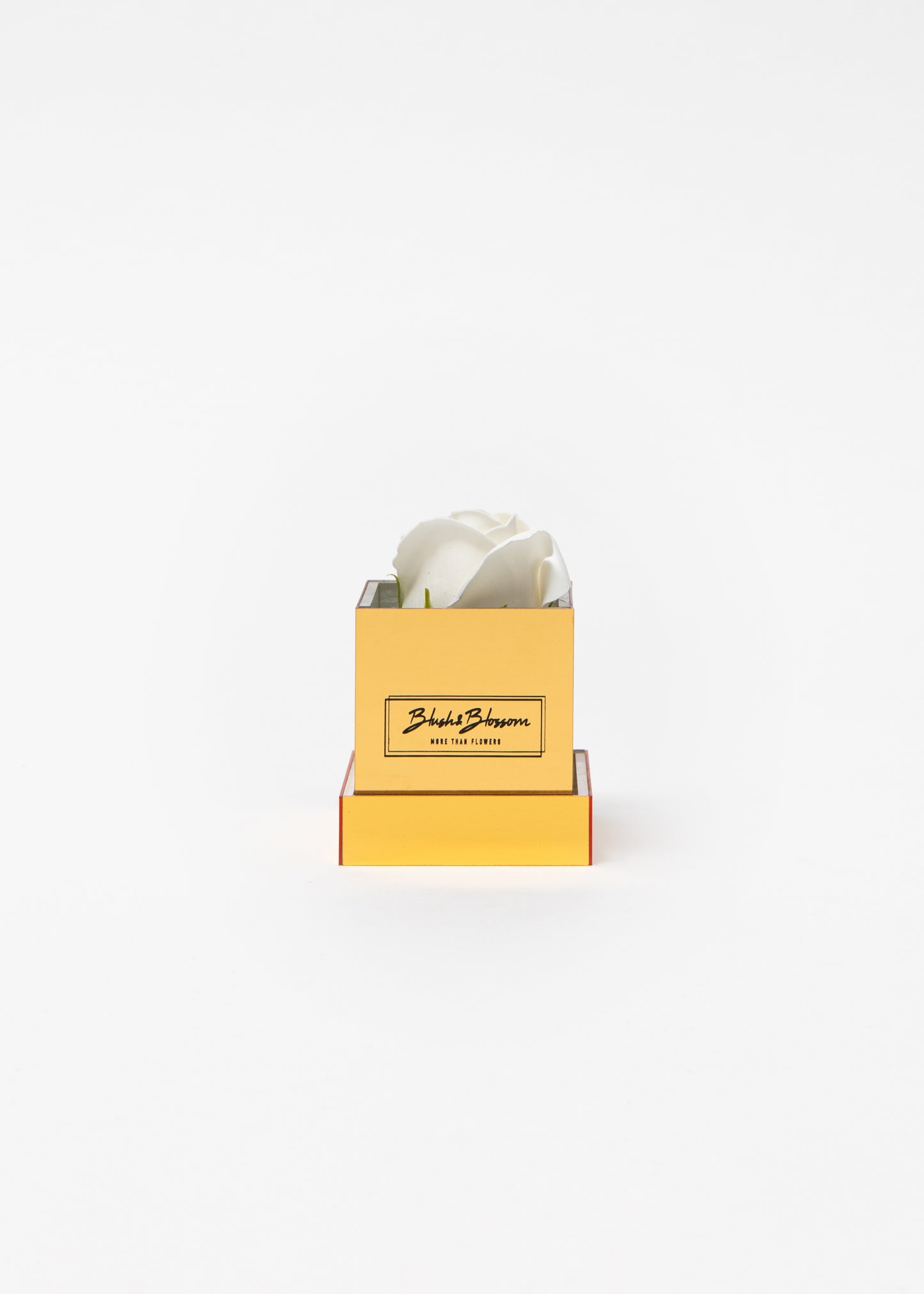 Coffret GOLDEN