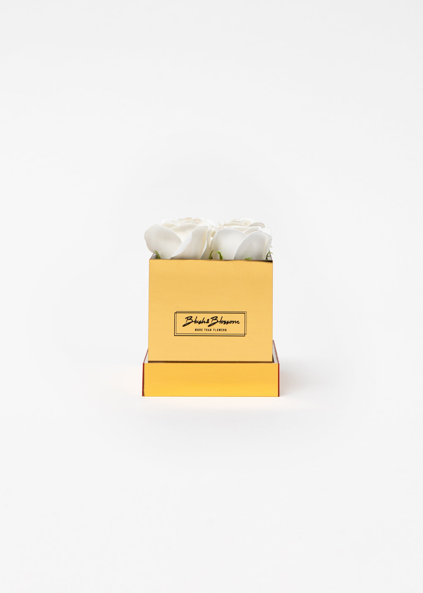 Coffret GOLDEN