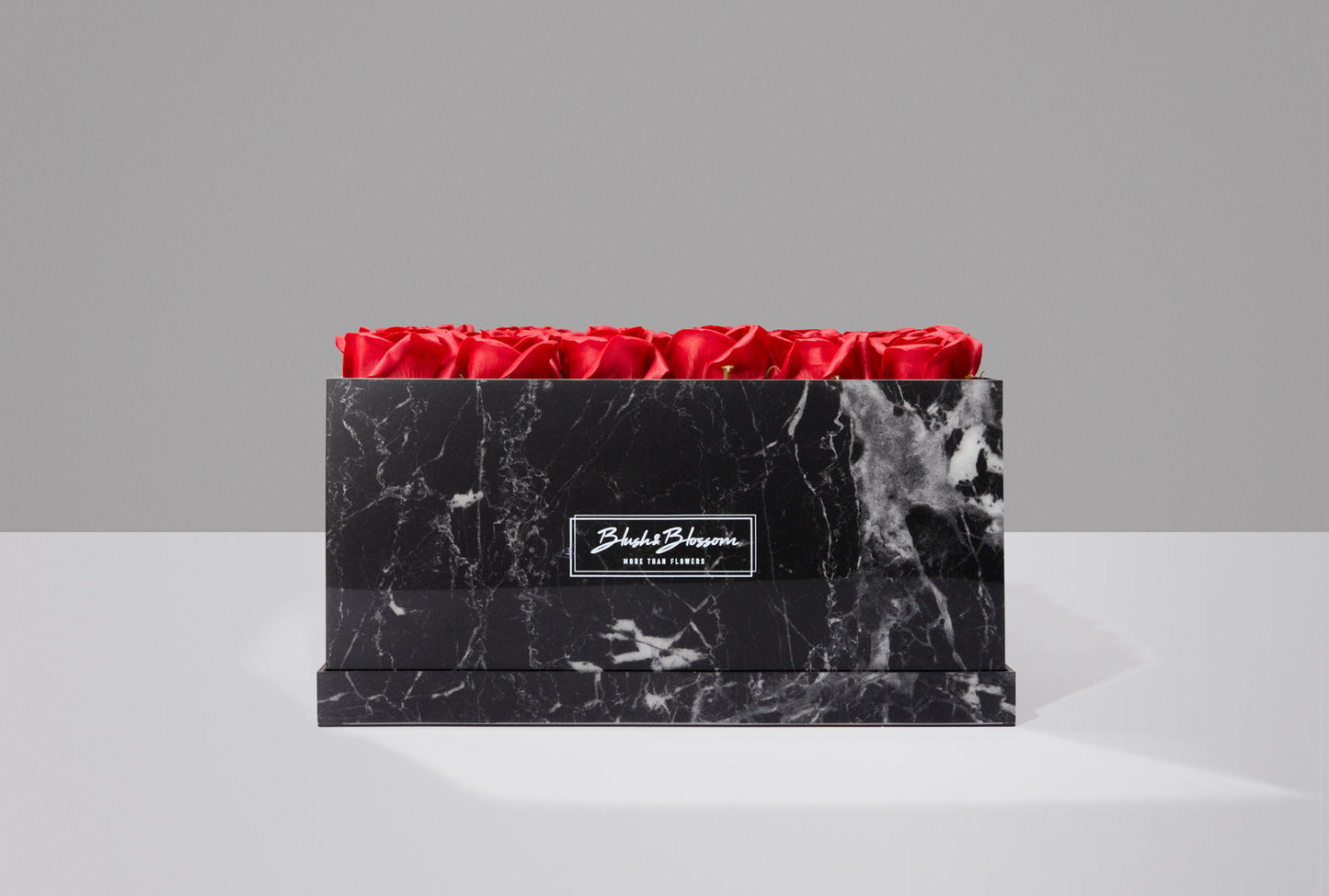 Coffret HOWLITE BLACK