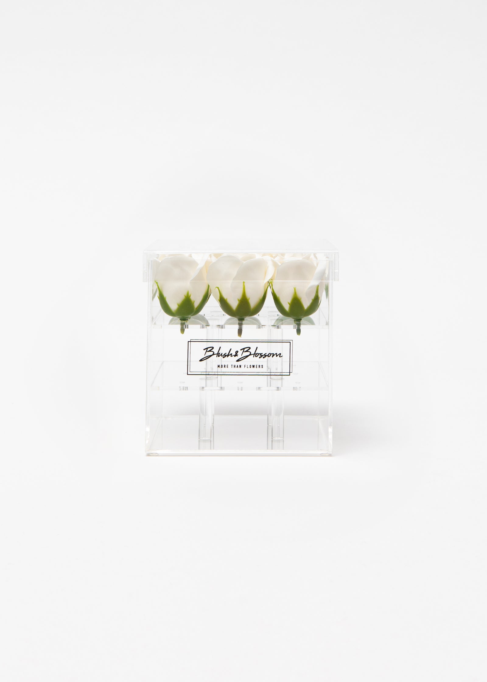 Coffret Clear