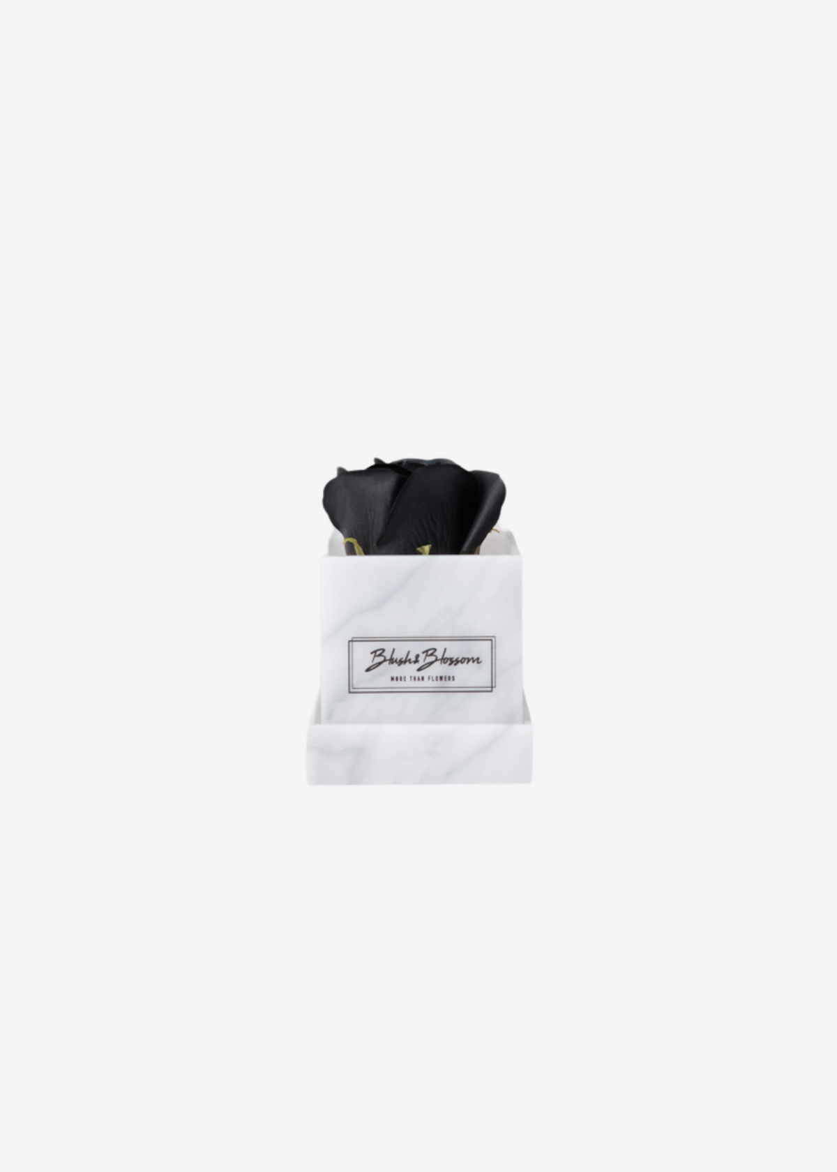 Coffret Howlite