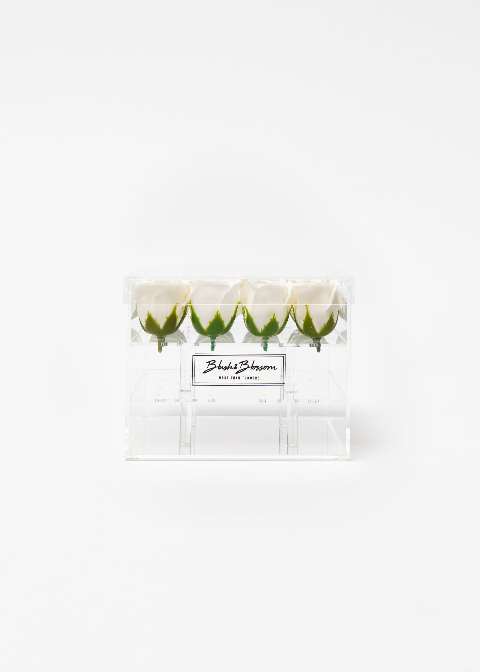 Coffret Clear