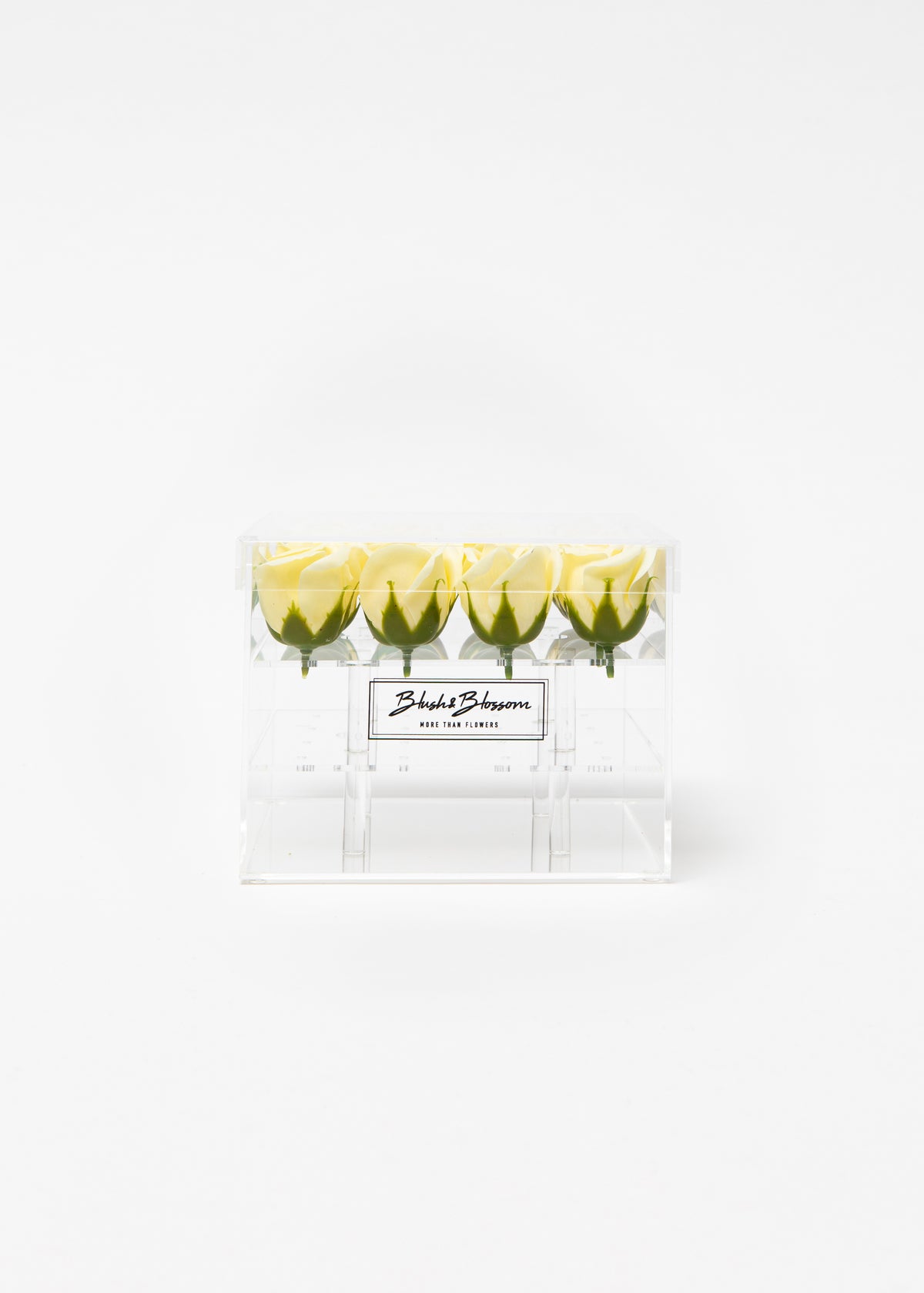 Coffret Clear