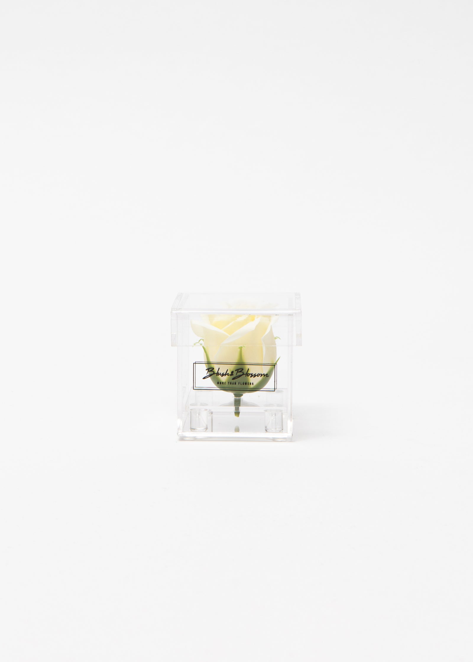 Coffret Clear