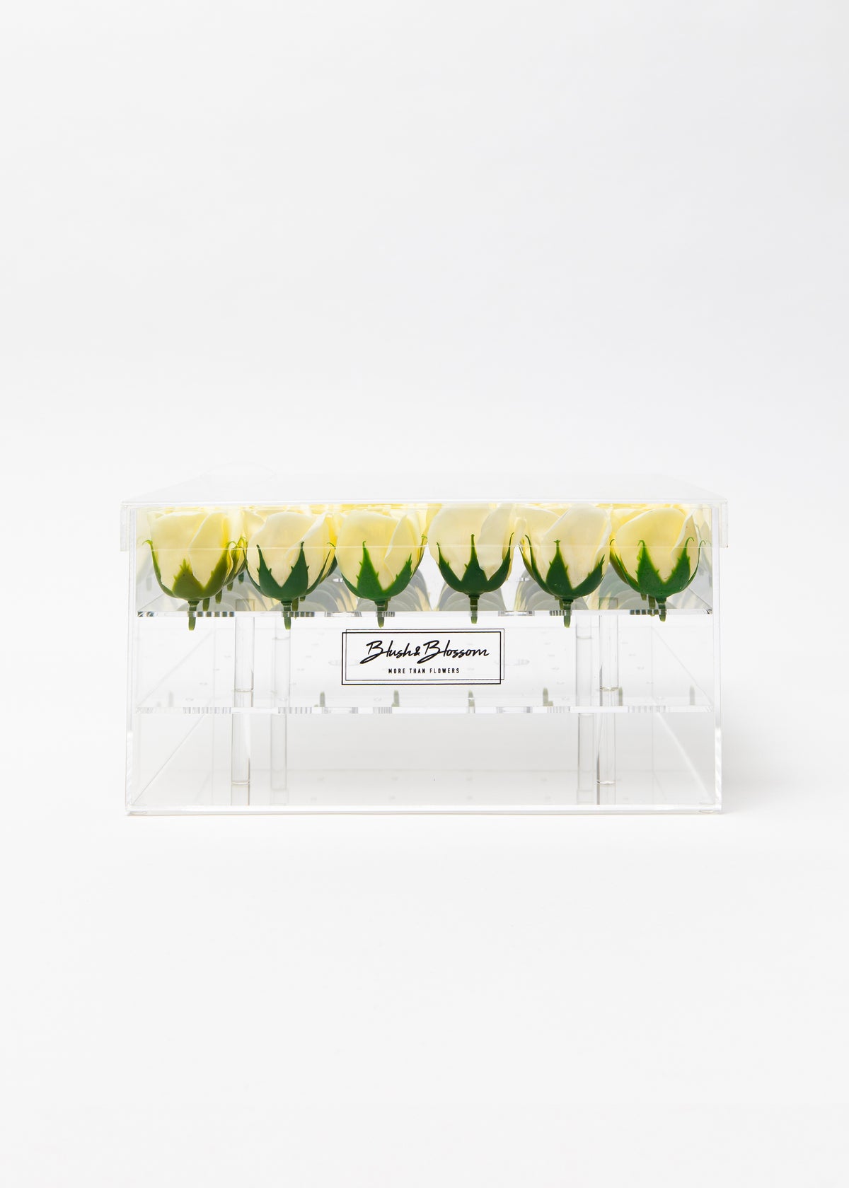 Coffret Clear