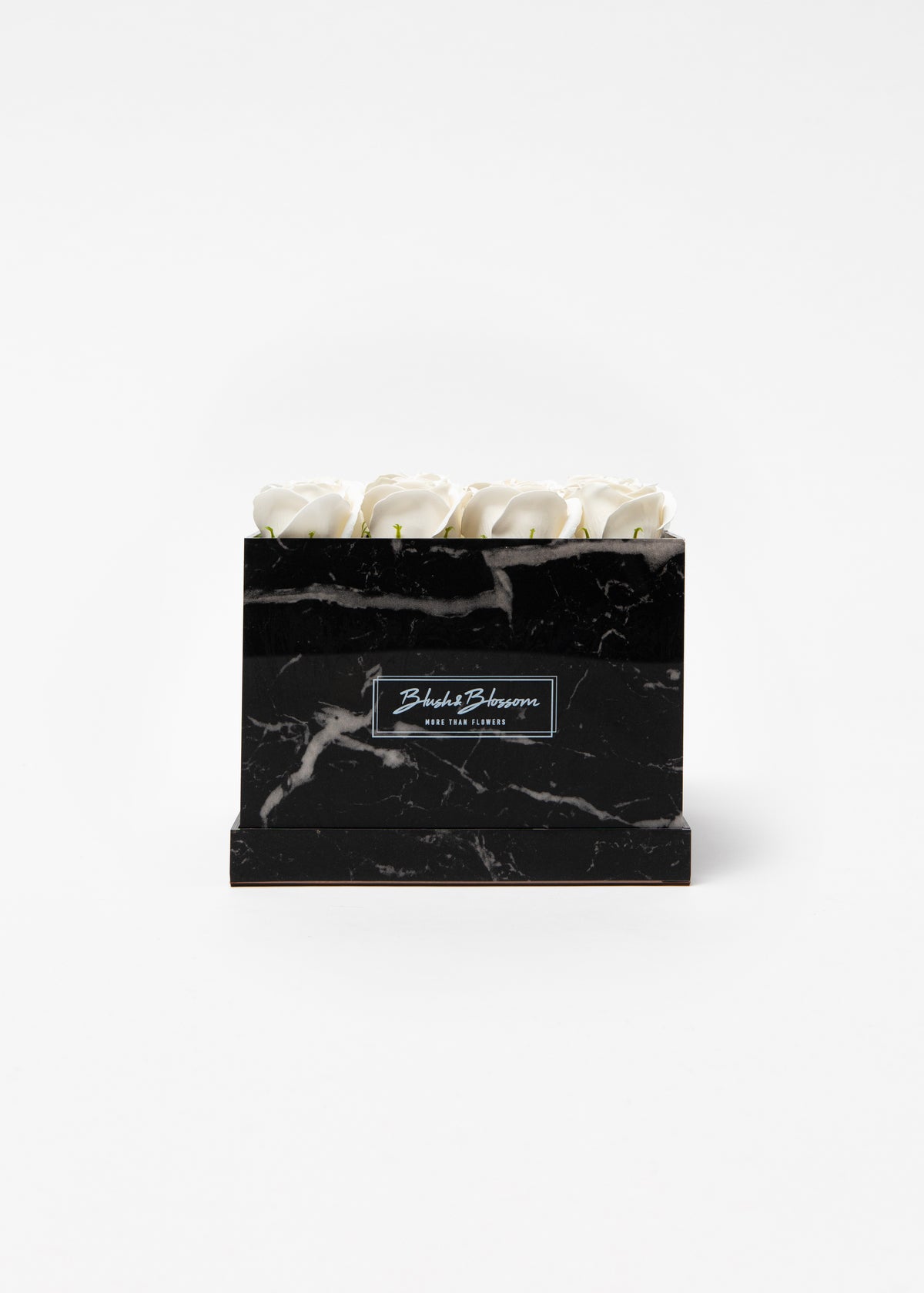 Coffret Howlite Black