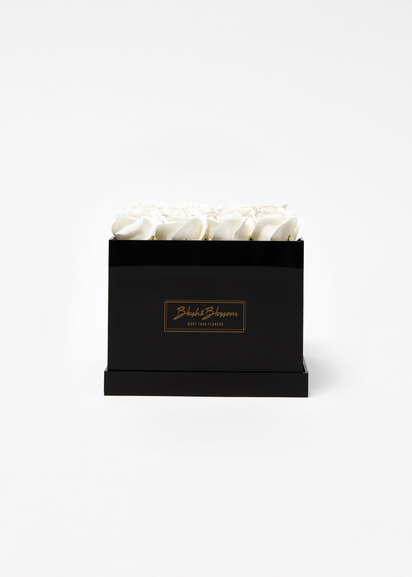 ONYX box