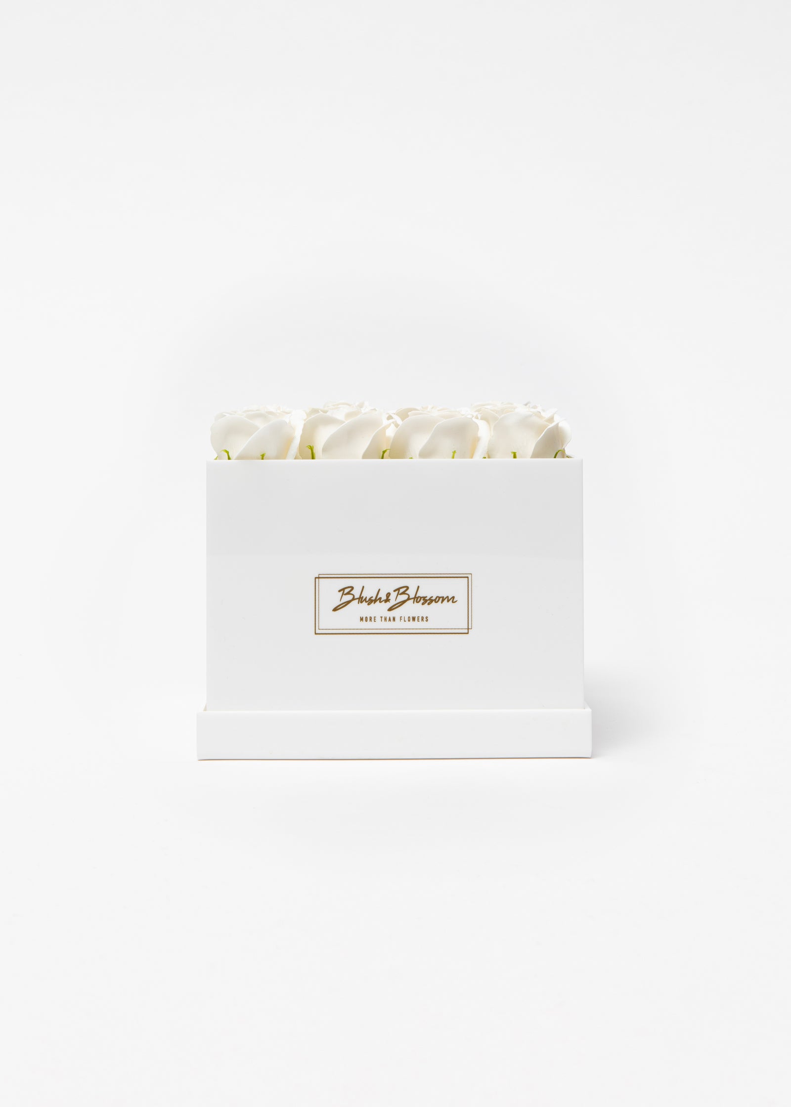 Coffret Opal