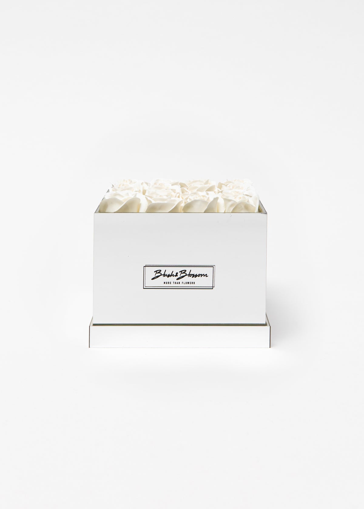 Coffret Silver