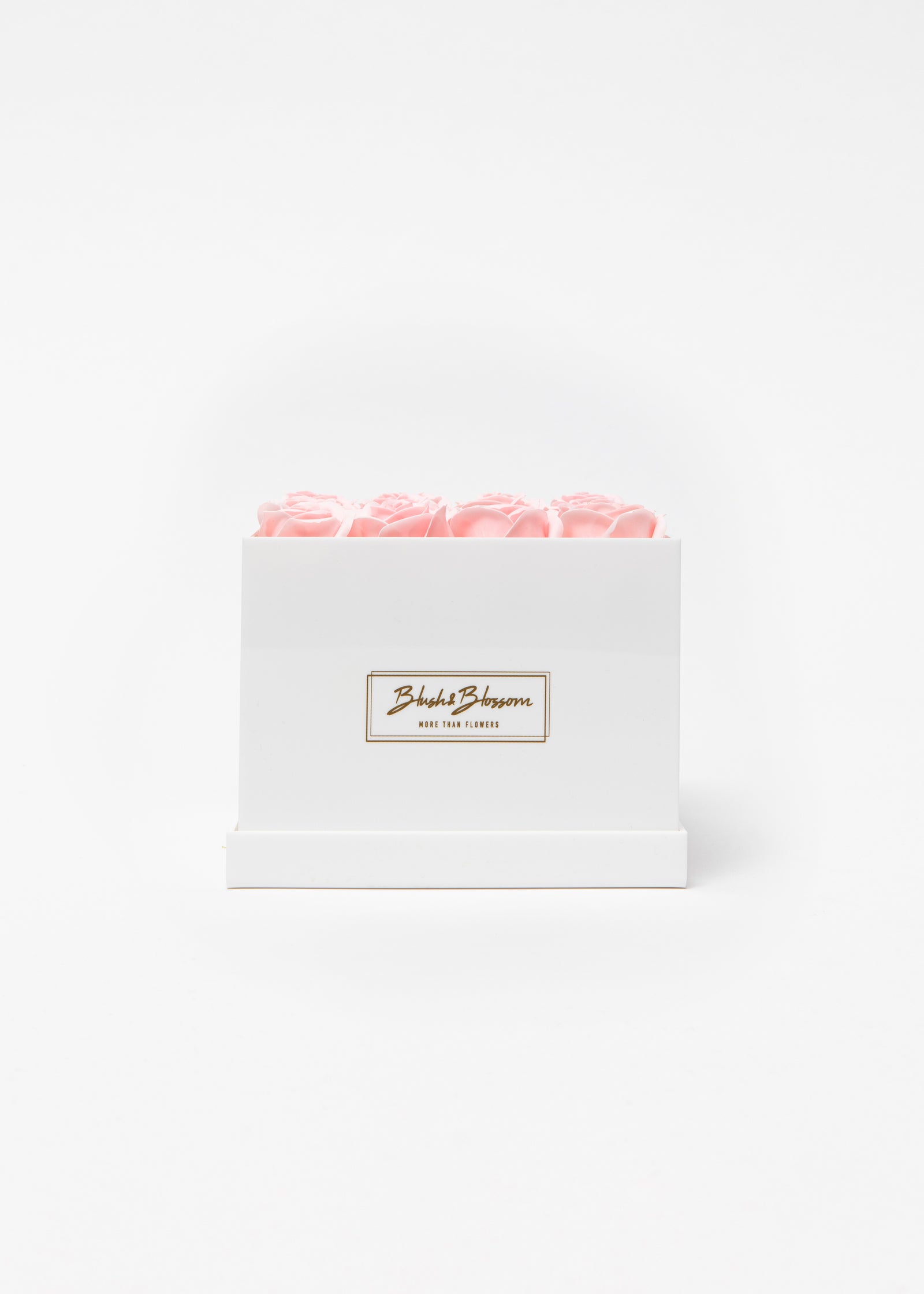 Coffret Opal