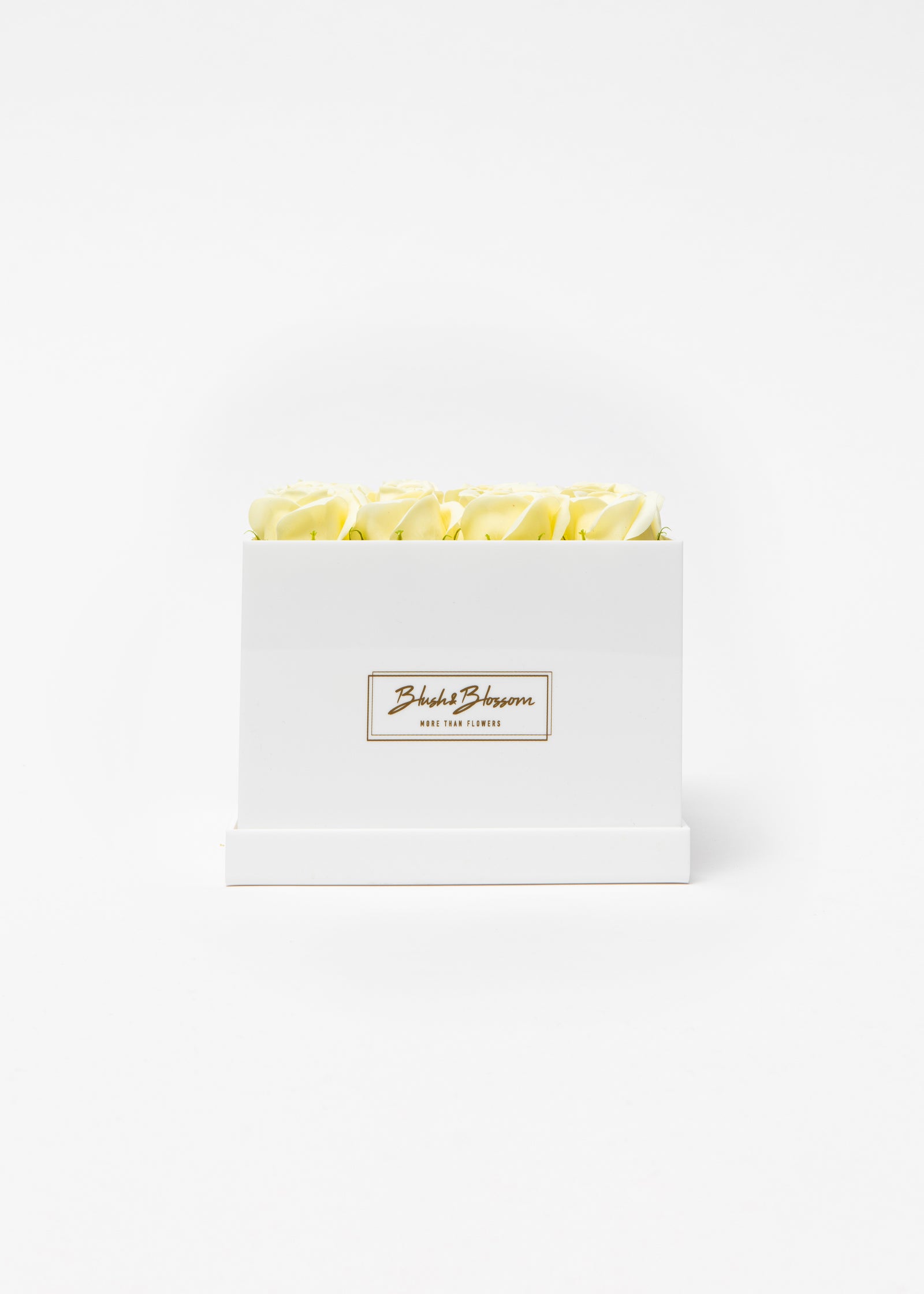 Coffret Opal