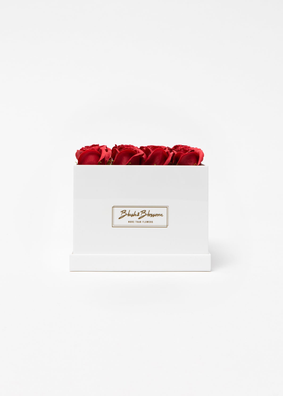 Coffret Opal