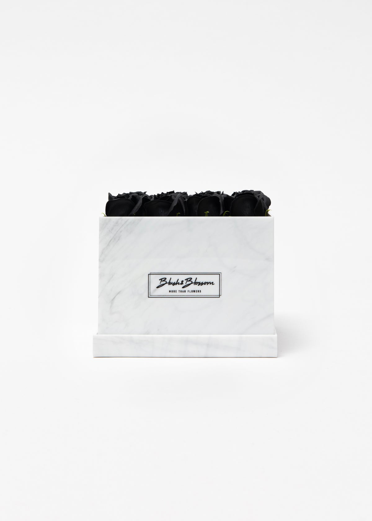Coffret Howlite