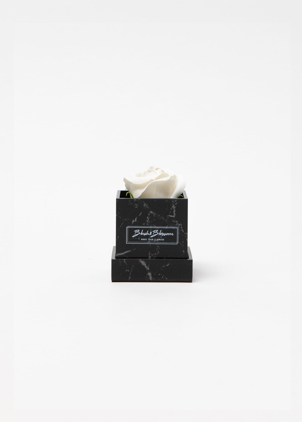 Coffret Howlite Black