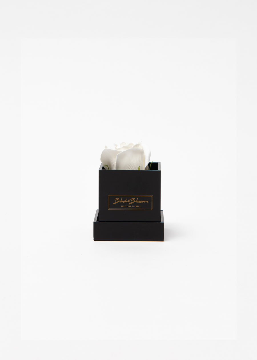 Coffret Onyx